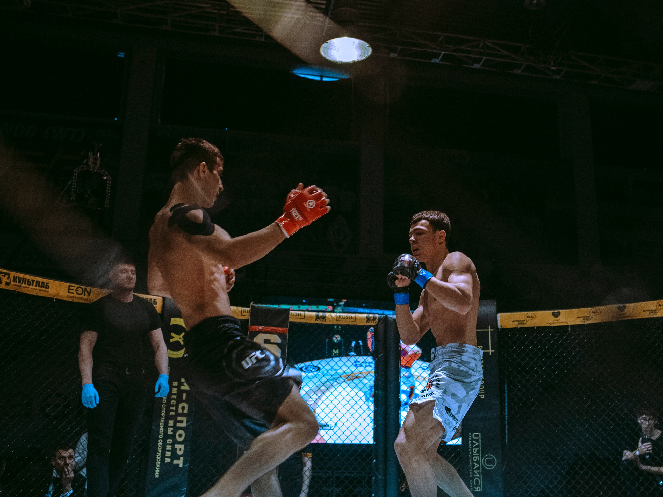 SFL 17 | Siberian Fighting League. Портретный фотограф в Москве Дарья Цезария