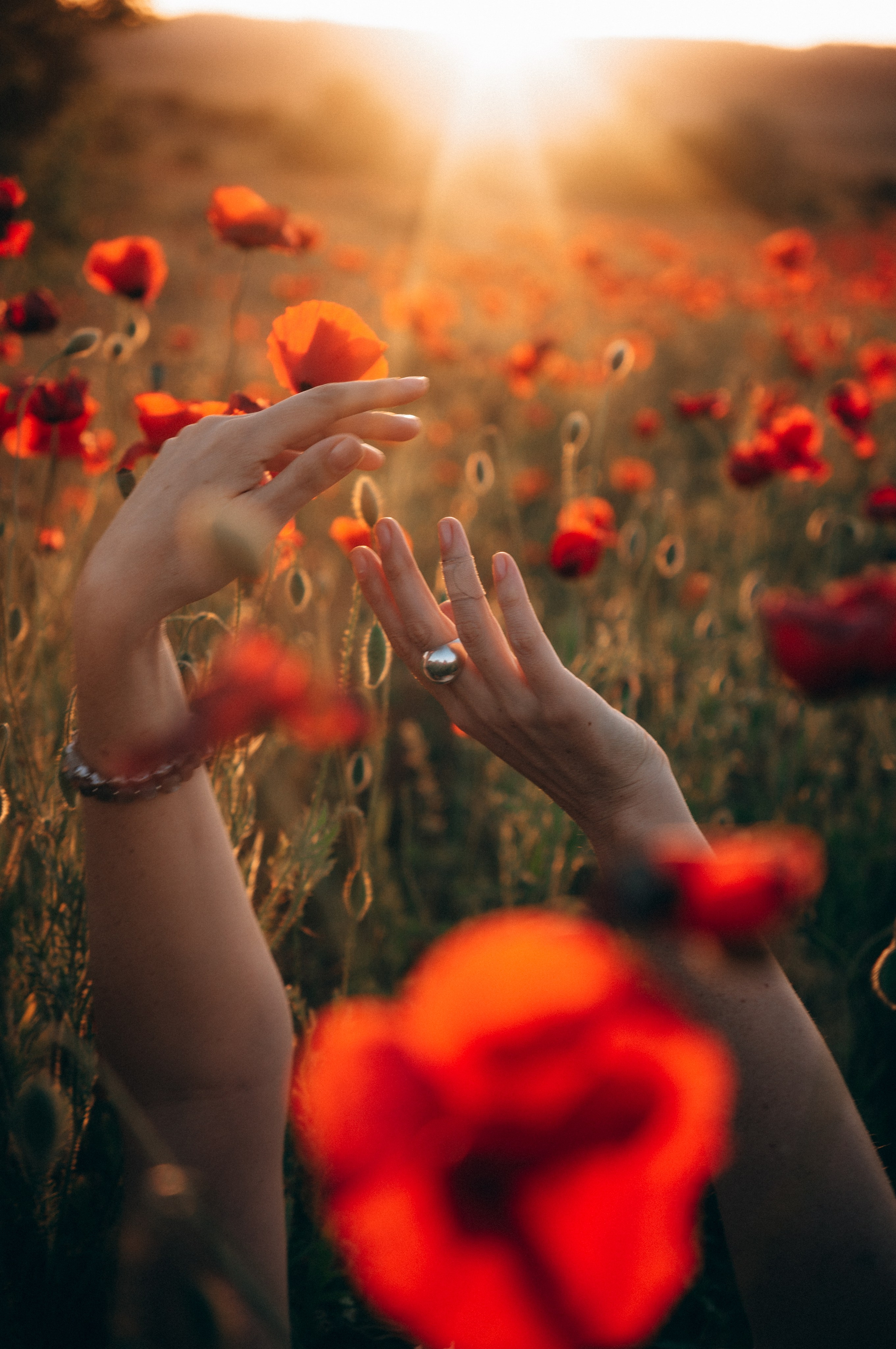 Ольга | маки. Обо мне