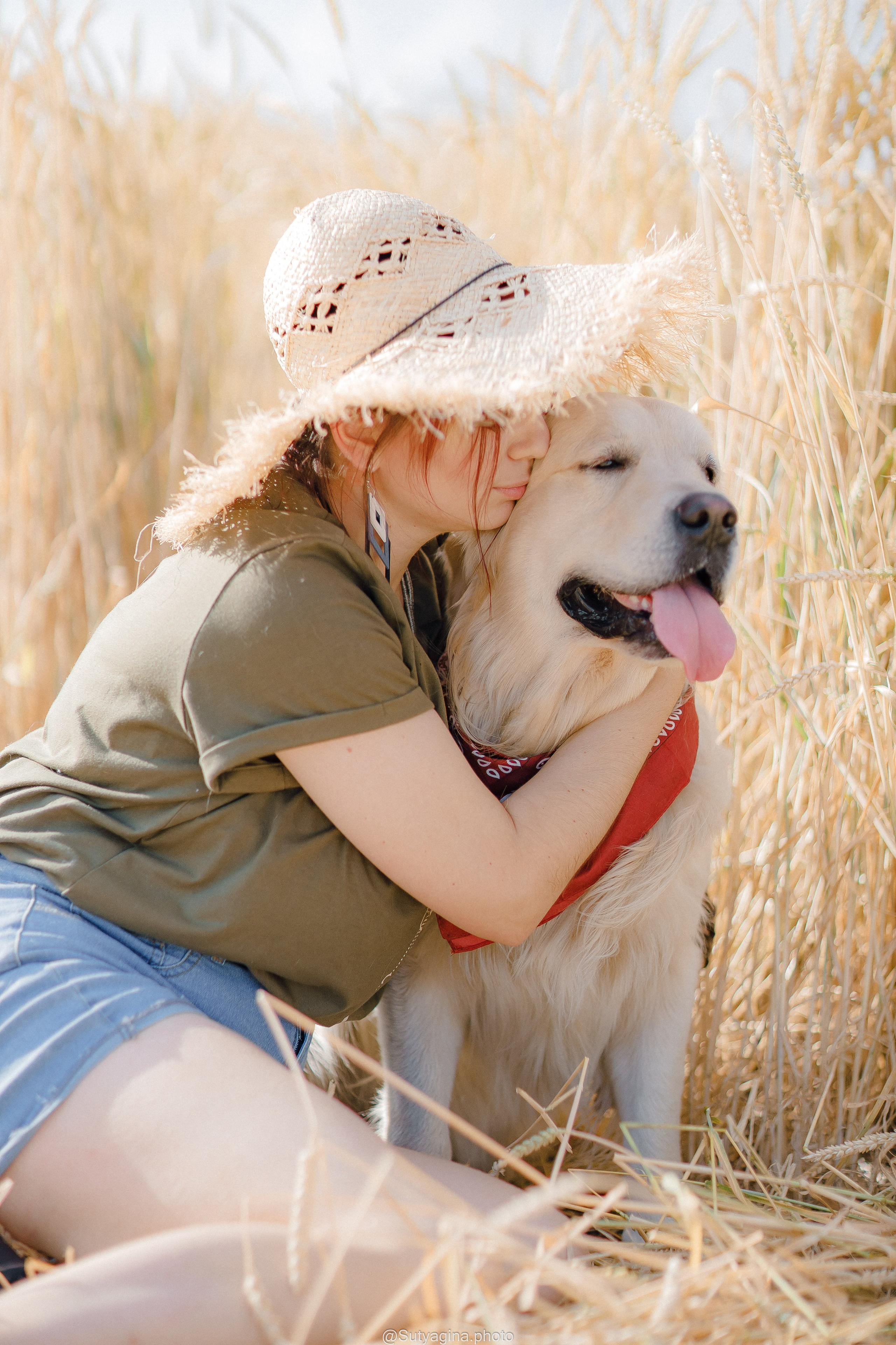 Золотистый ретривер Снежик. Свадебный и женский фотограф