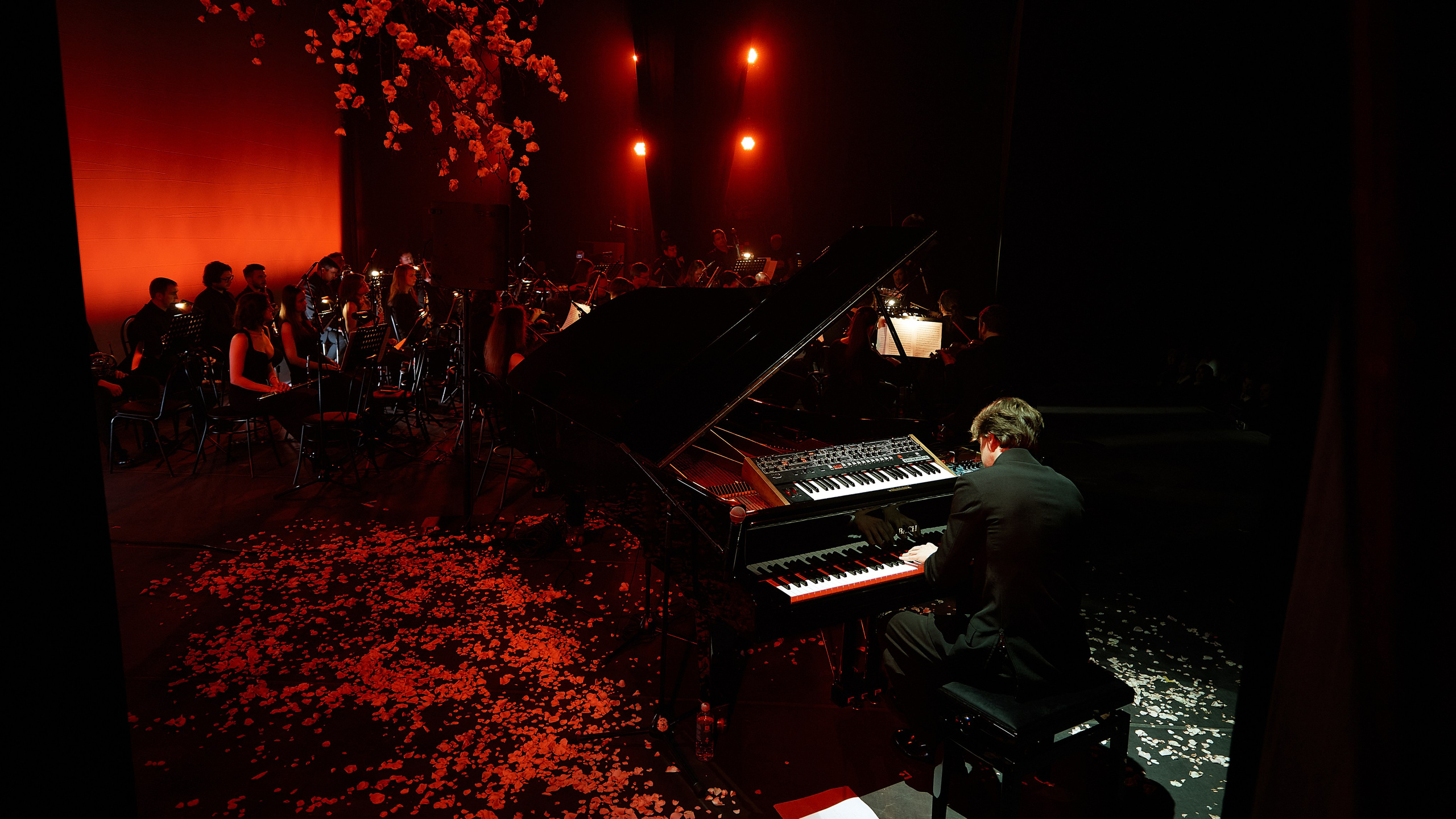 Никола Мельников / 2024. OOPS