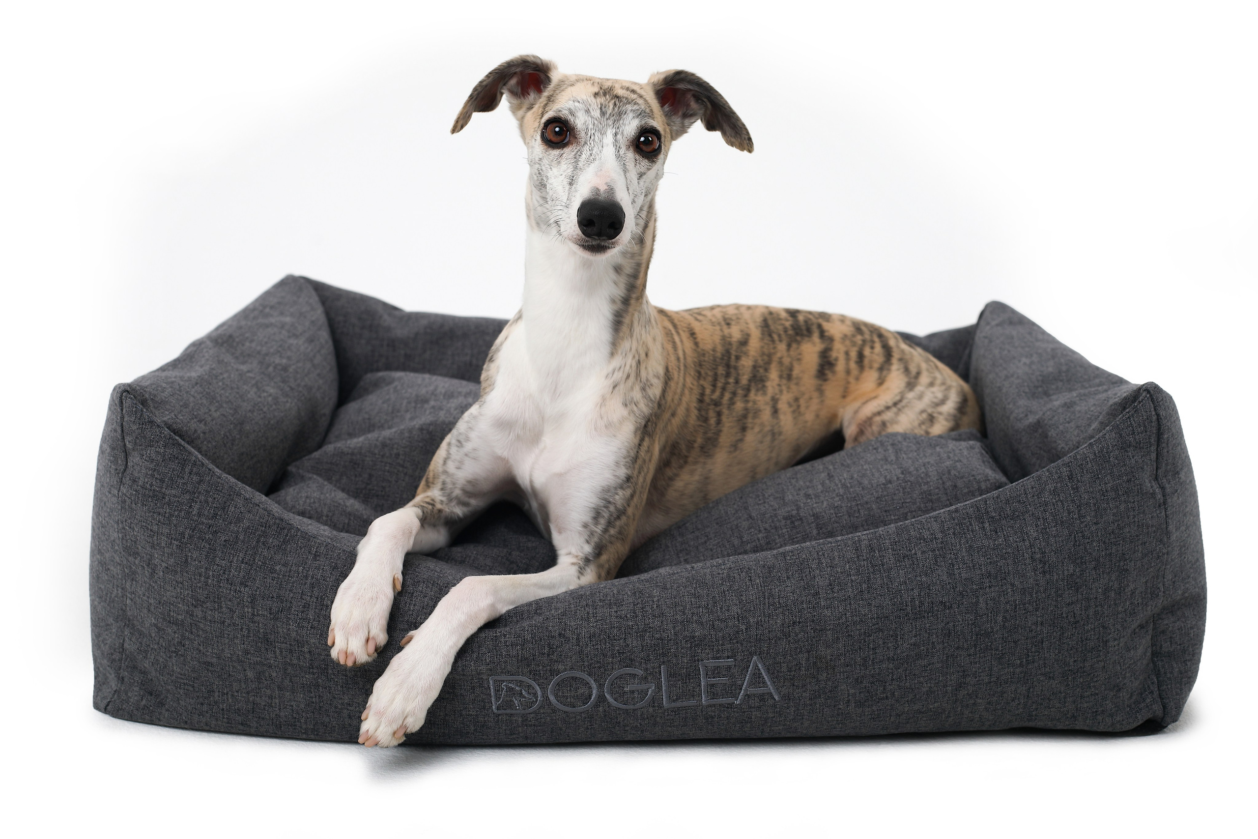 Для брендов. Фотограф- анималист Санкт-Петербург