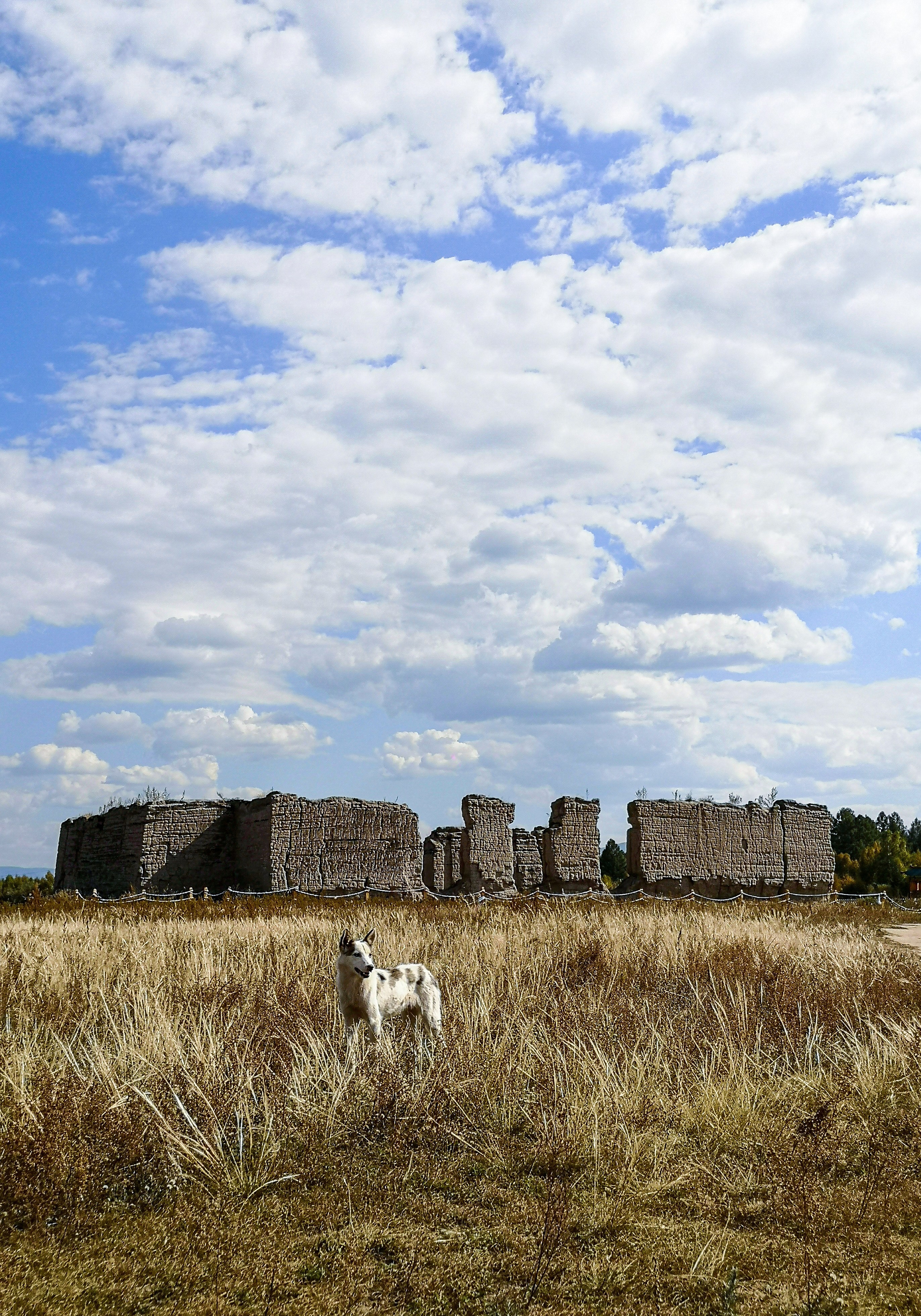 Тыва и Хакасия. Travel-фотограф Ирина Милинцова