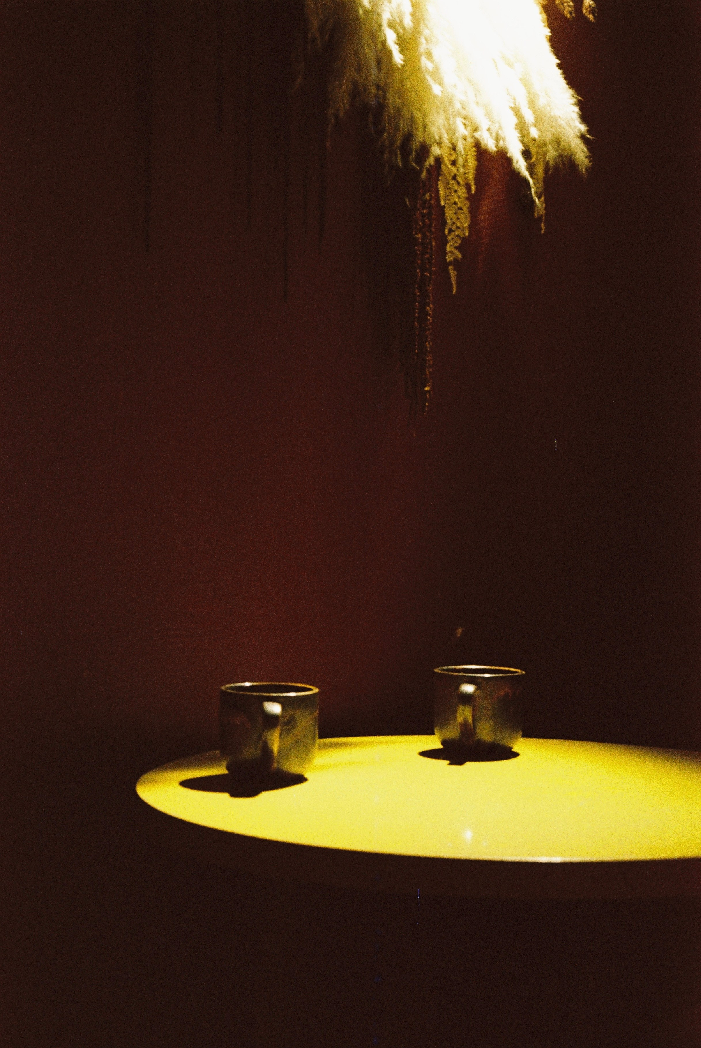 Плёнка. Фотограф в Санкт-Петербурге Надежда Гордюшина