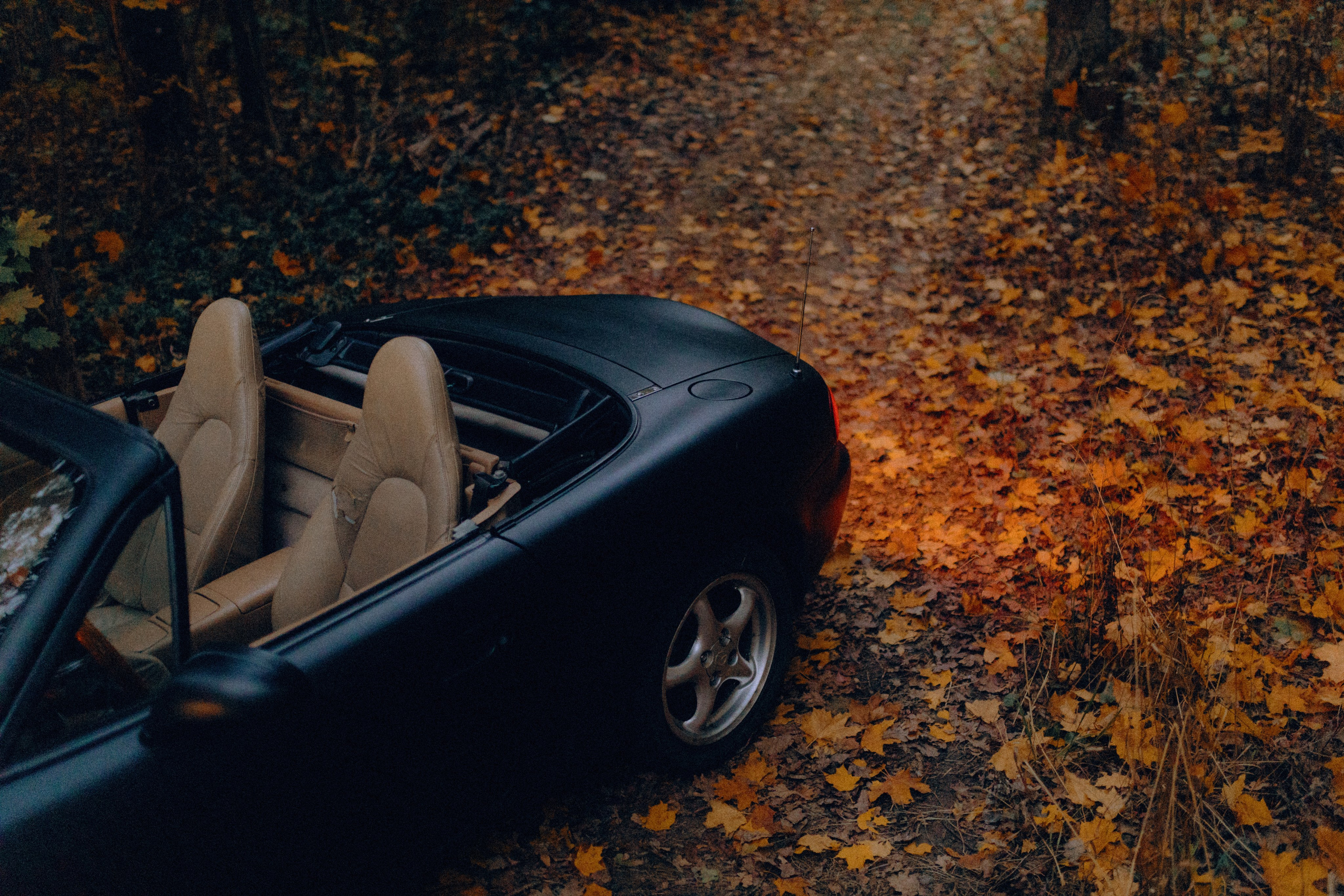 Лёха и Таня. Свадебные фотографы в Гомеле и Минске Сергей и Анастасия Фещенок