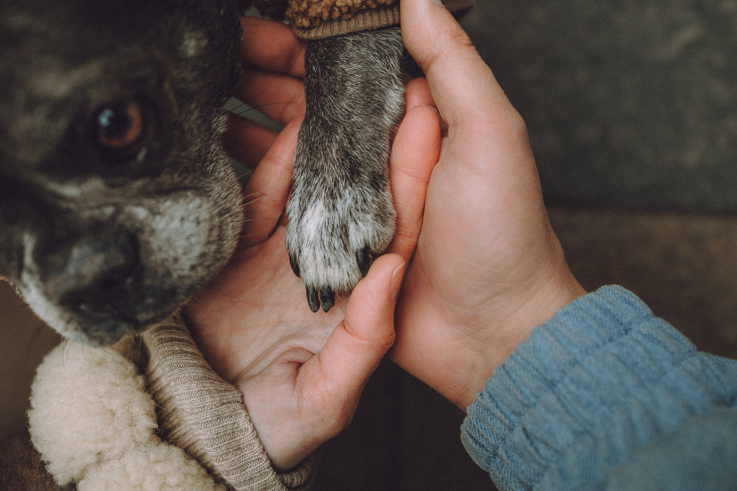 Юля, Вова и Моня