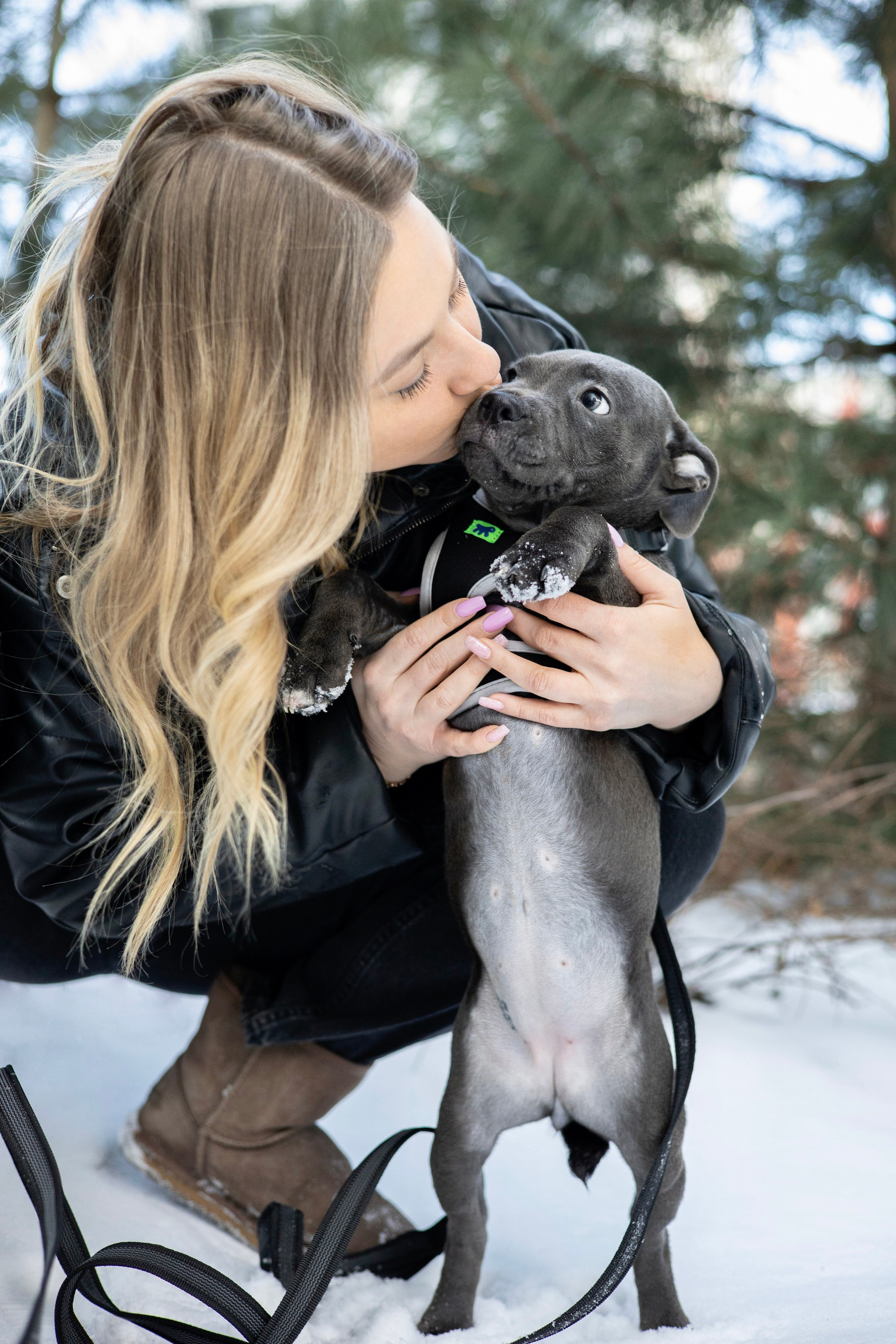 Дарси, Тимур и Юля. Фотограф-анималист Ксения Шевцова|Москва