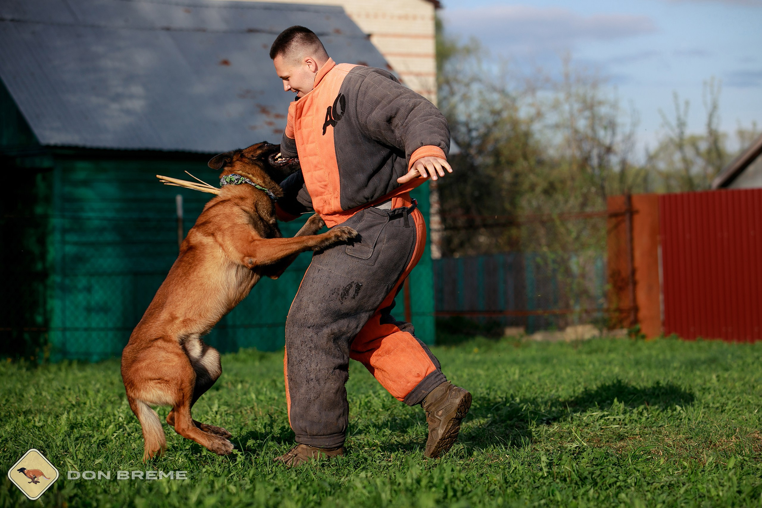 Семинар для фигурантов, день 2. Фотограф-анималист Mary Mart — Москва, Питер