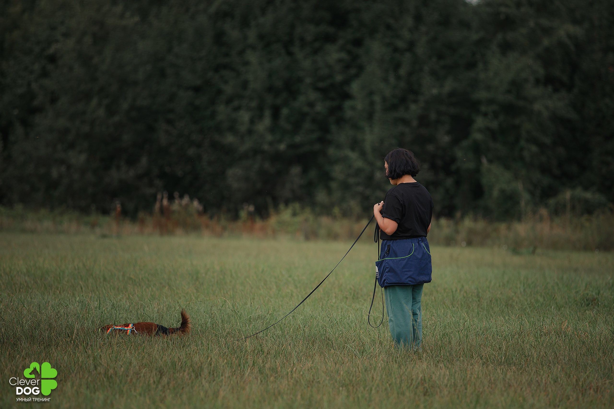Кинологический лагерь CleverDog, 2024. Фотограф-анималист Mary Mart — Москва, Питер