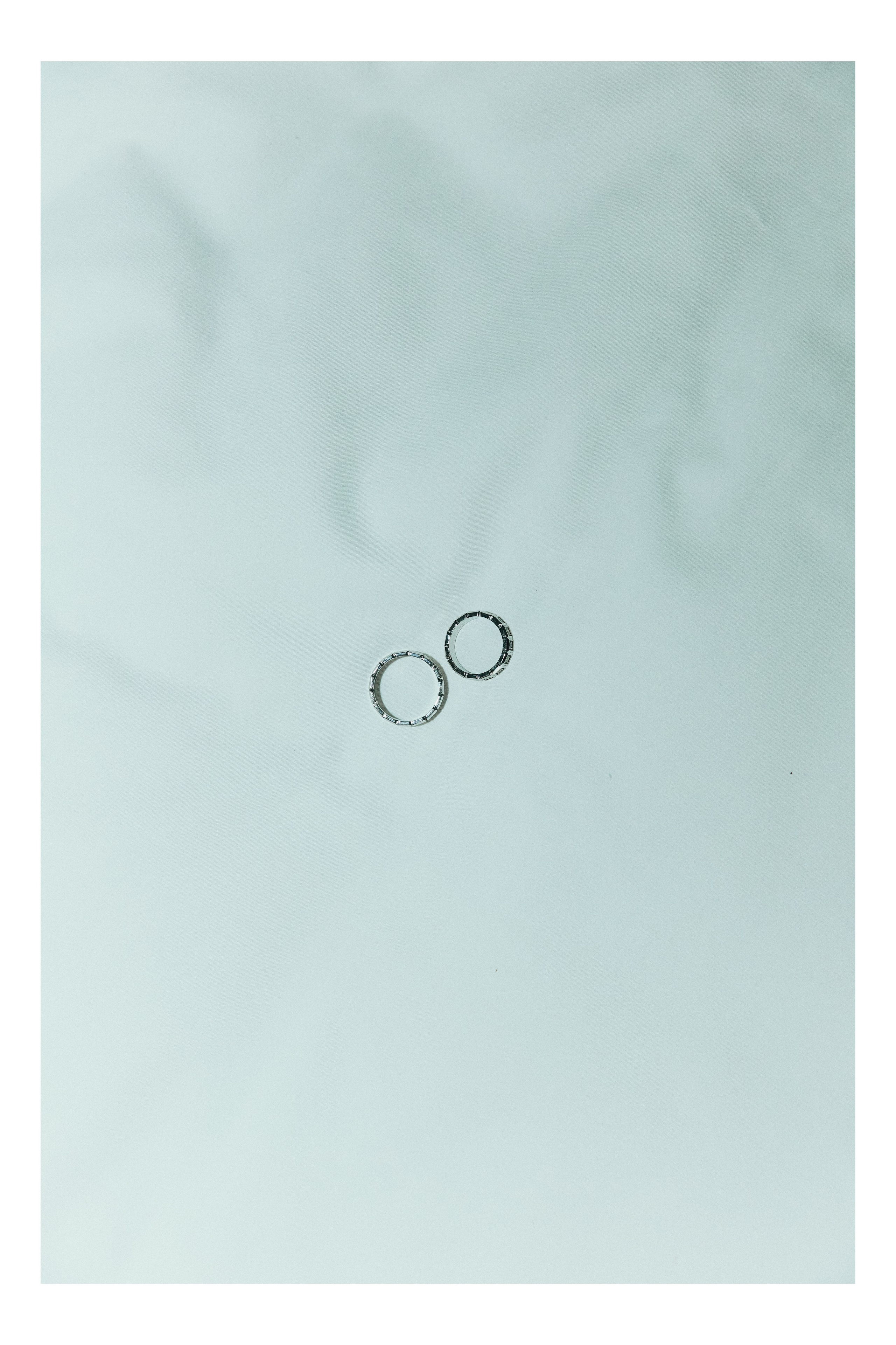 A NEW FAMILY TREE. Дмитрий Мазуркевич: Профессиональный Репортажный Фотограф