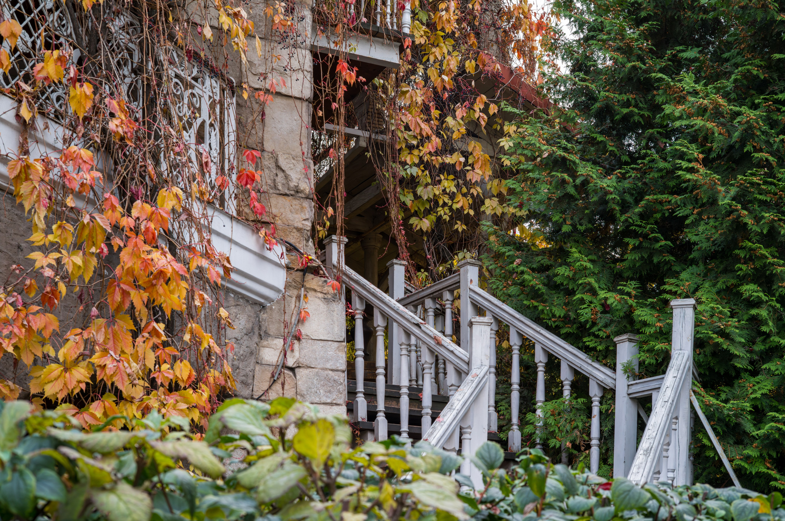 Осенний пейзаж с лестницей ресторана