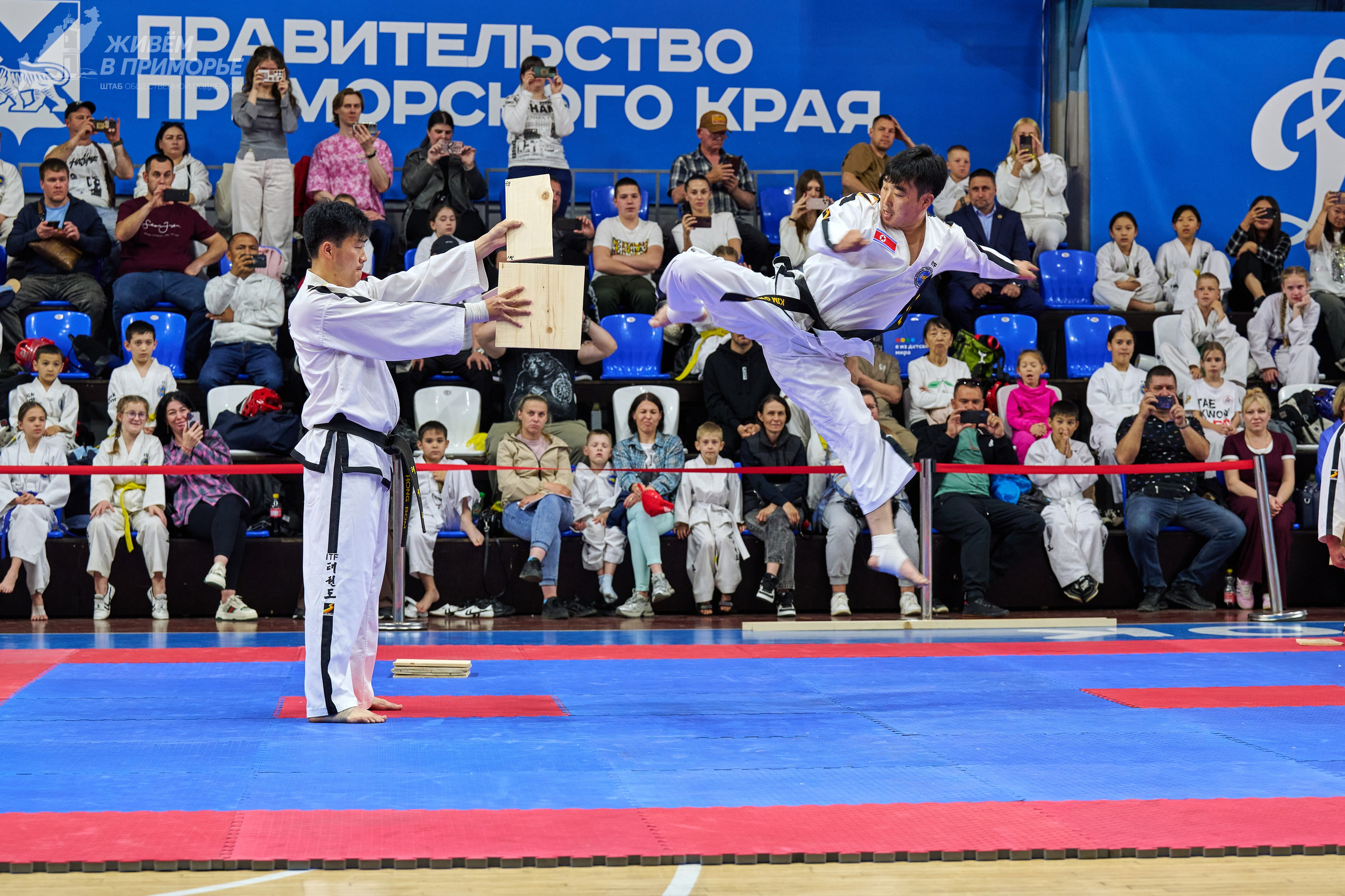 Кубок губернатора по тхэквондо. Профессиональный репортажный фотограф Инесса Иминова