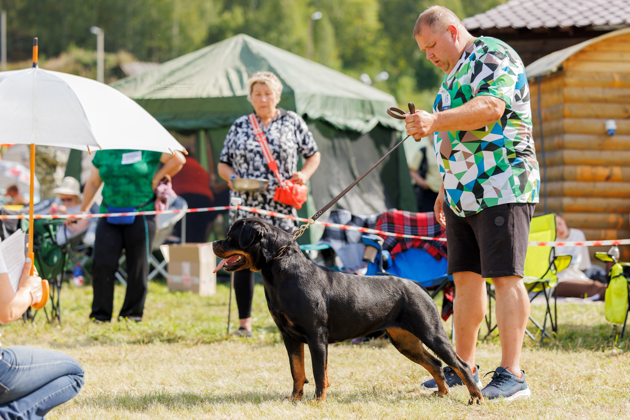 Рязань-Ховрино 10-11.08.2024 3хмоно ротвейлеров. Фотограф-анималист Юлия Германика