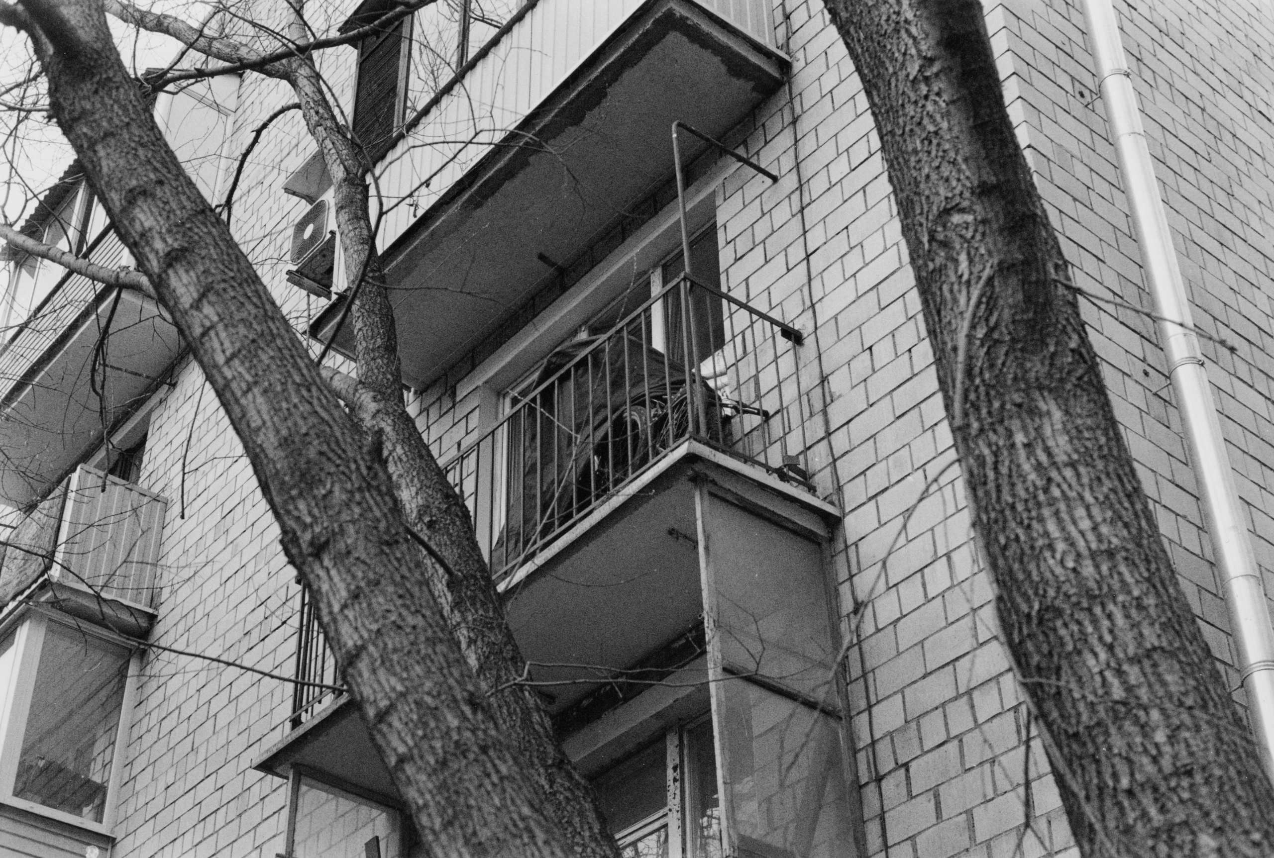 Prints. Maria Abdullaeva