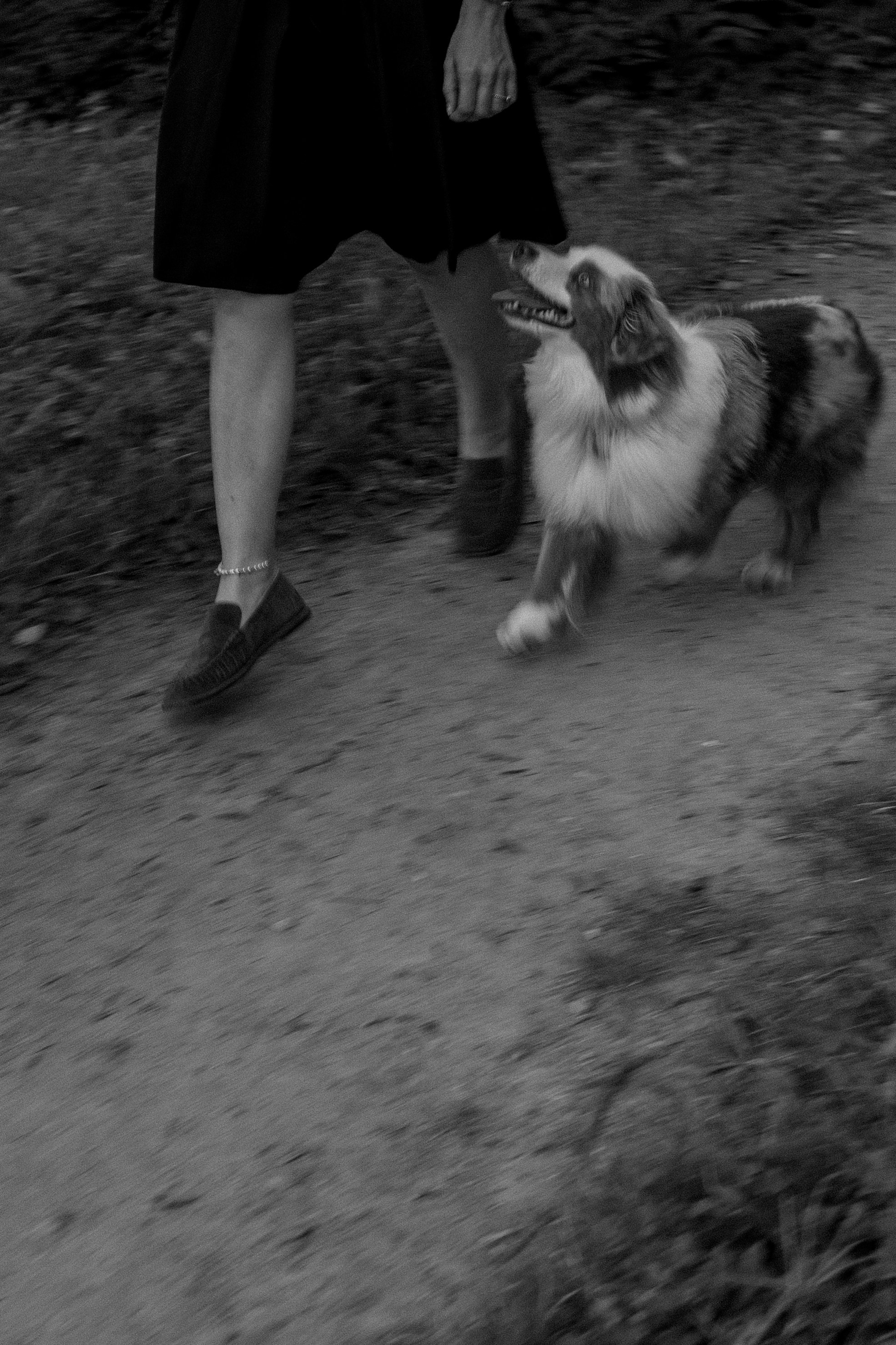 Маша и Эклер. Фотограф — Анималист | Санкт-Петербург