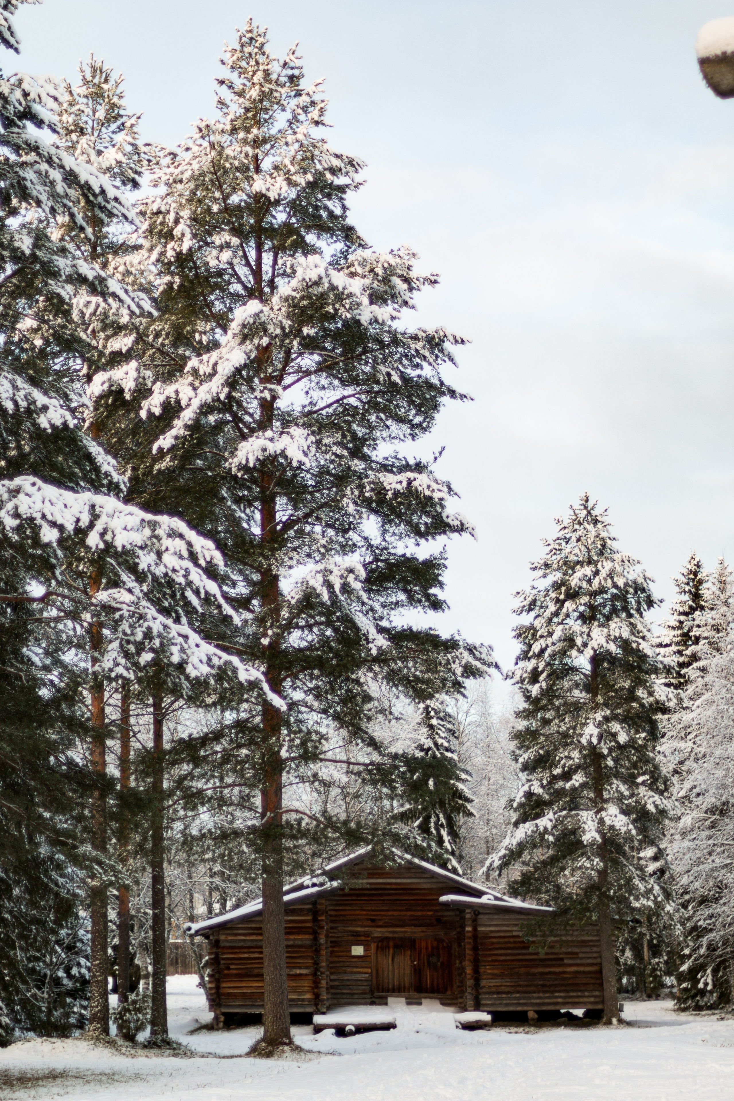 Русский Север, Малые карелы. Фотограф в Сочи