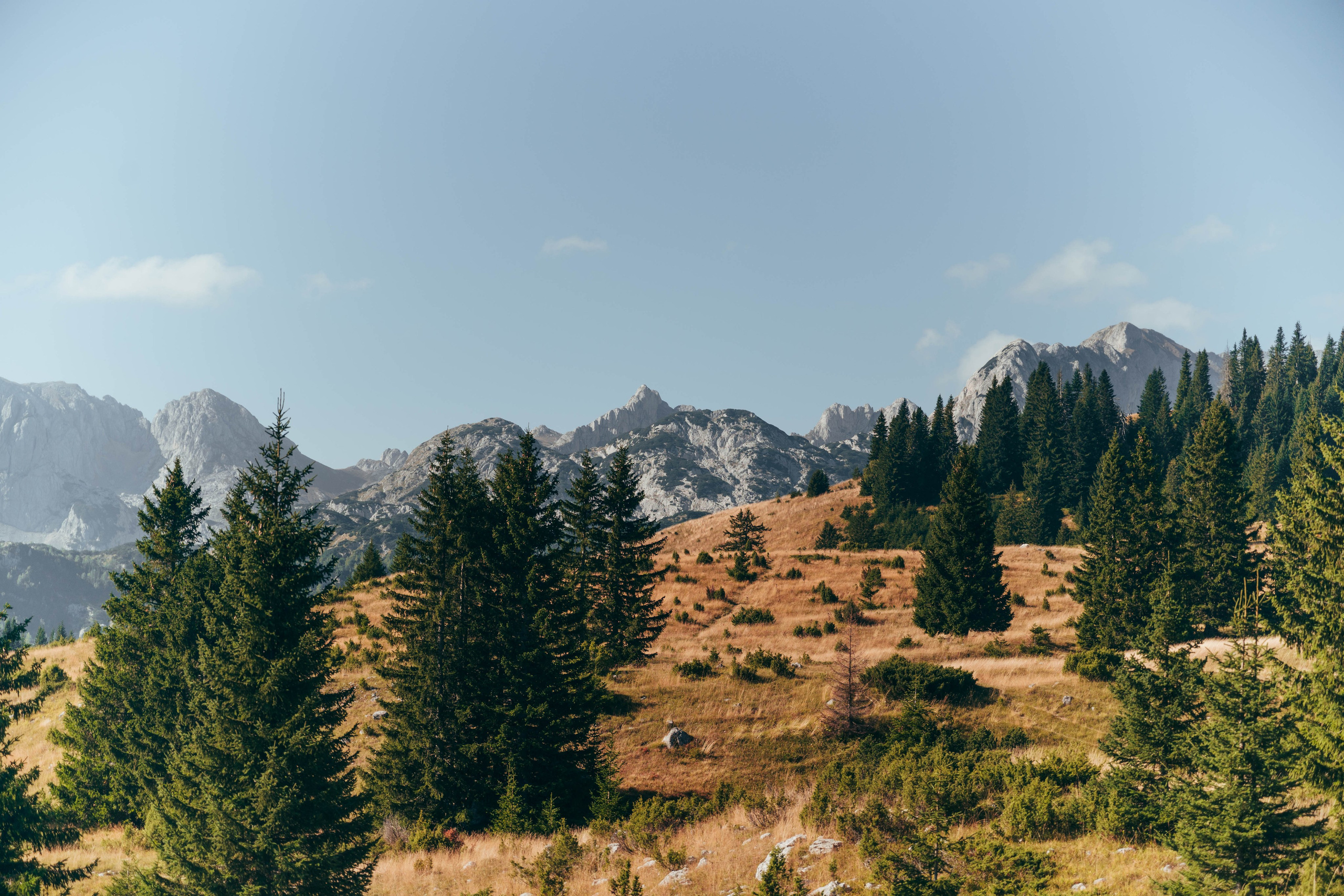 ЦРВЕНА ГРЕДА. ЧЕРНОГОРИЯ. Фотограф в Белграде Чугреева Елена