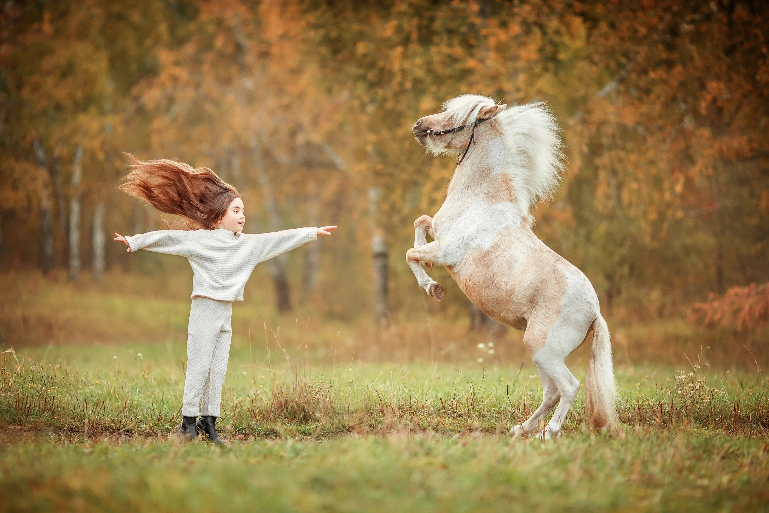 Семейные. Сказочный фотограф фотопроекты фототуры в Новосибирске и на Алтае