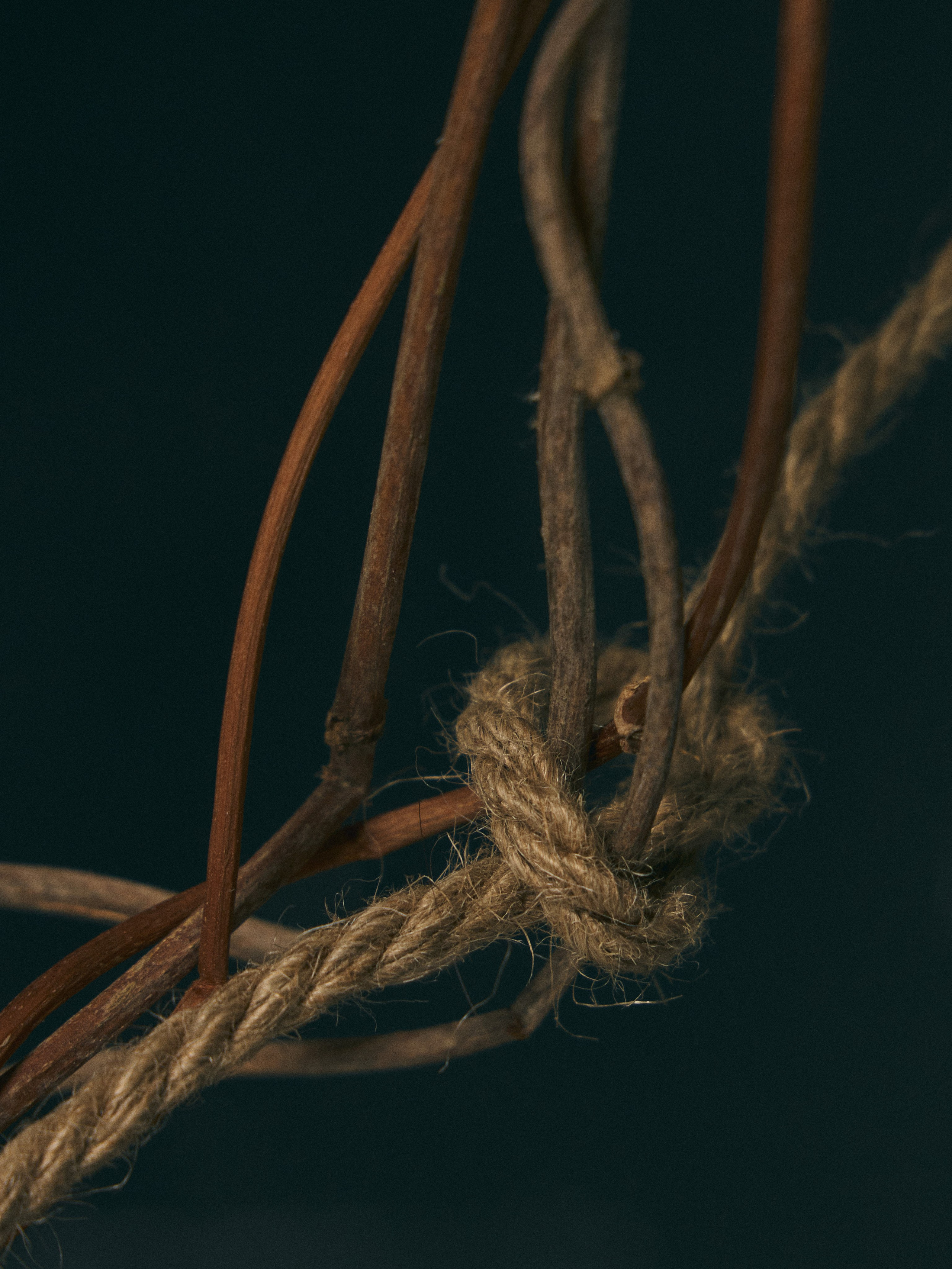 Даня Пирогов. Февраль'25. Журнал Собака.ru. Профессиональный фотограф Федотова Арина