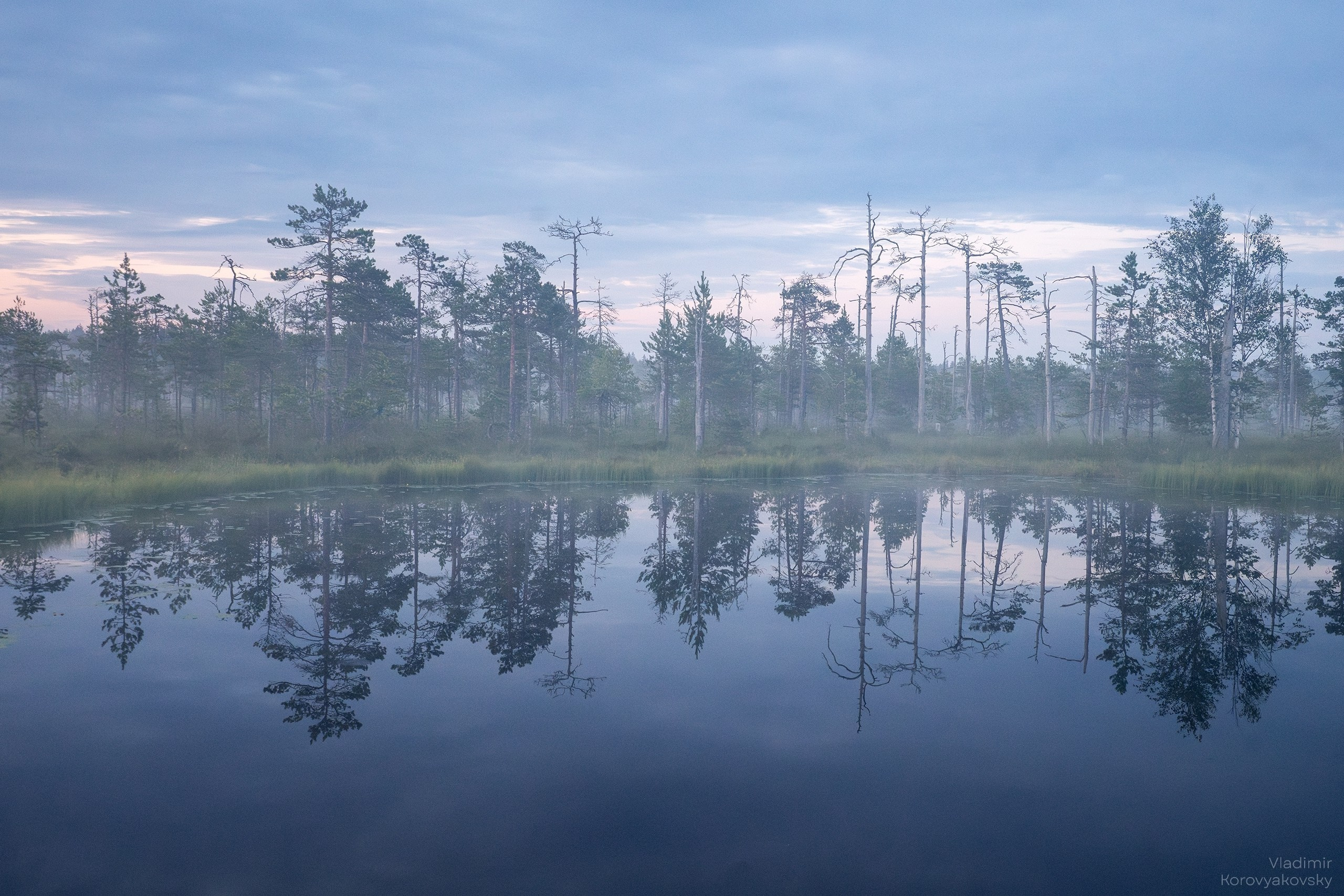 Природа. Фотограф Владимир Коровяковский