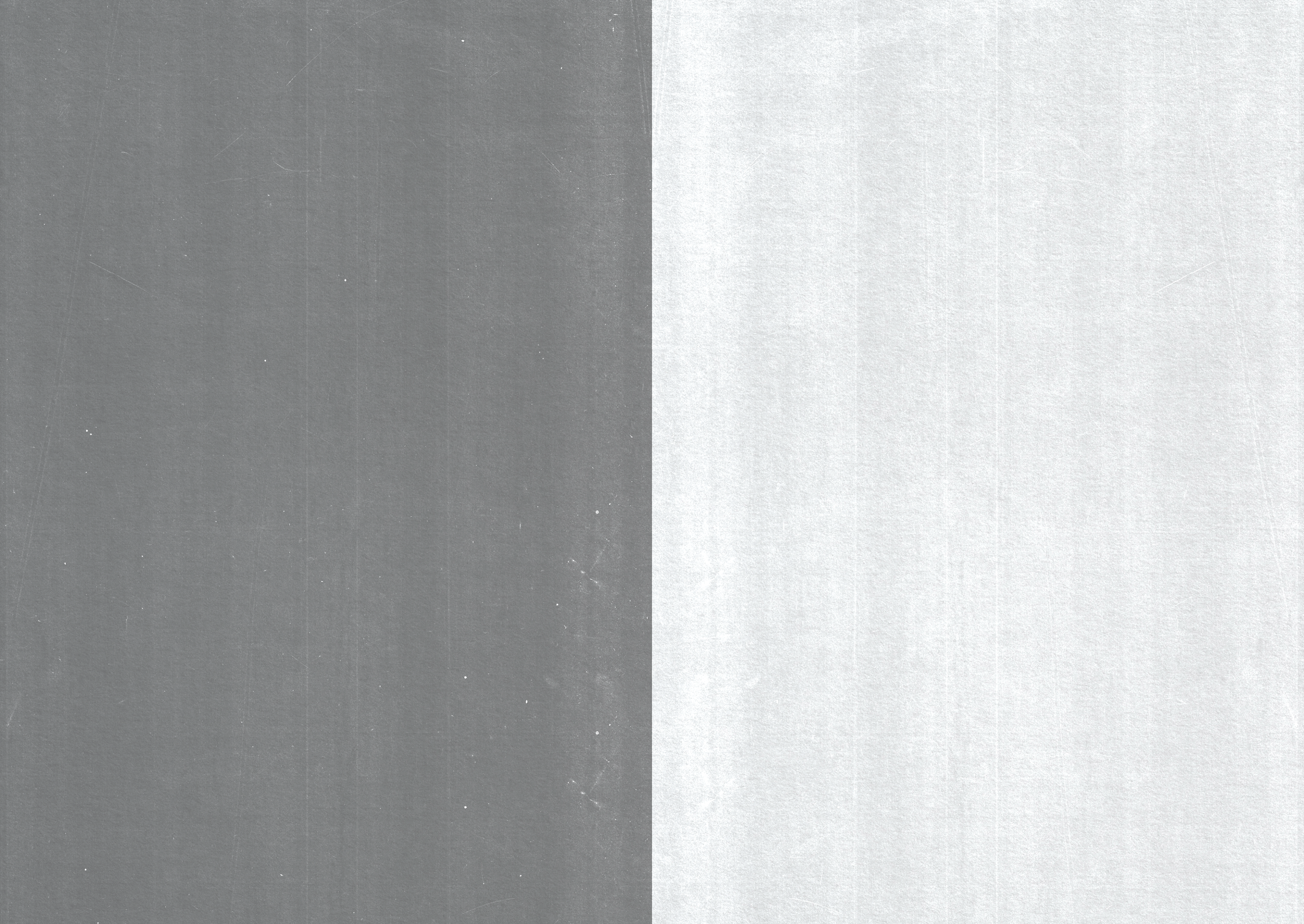 Living dead. Полина Щапова БМК235 Медиаком — НИУ ВШЭ