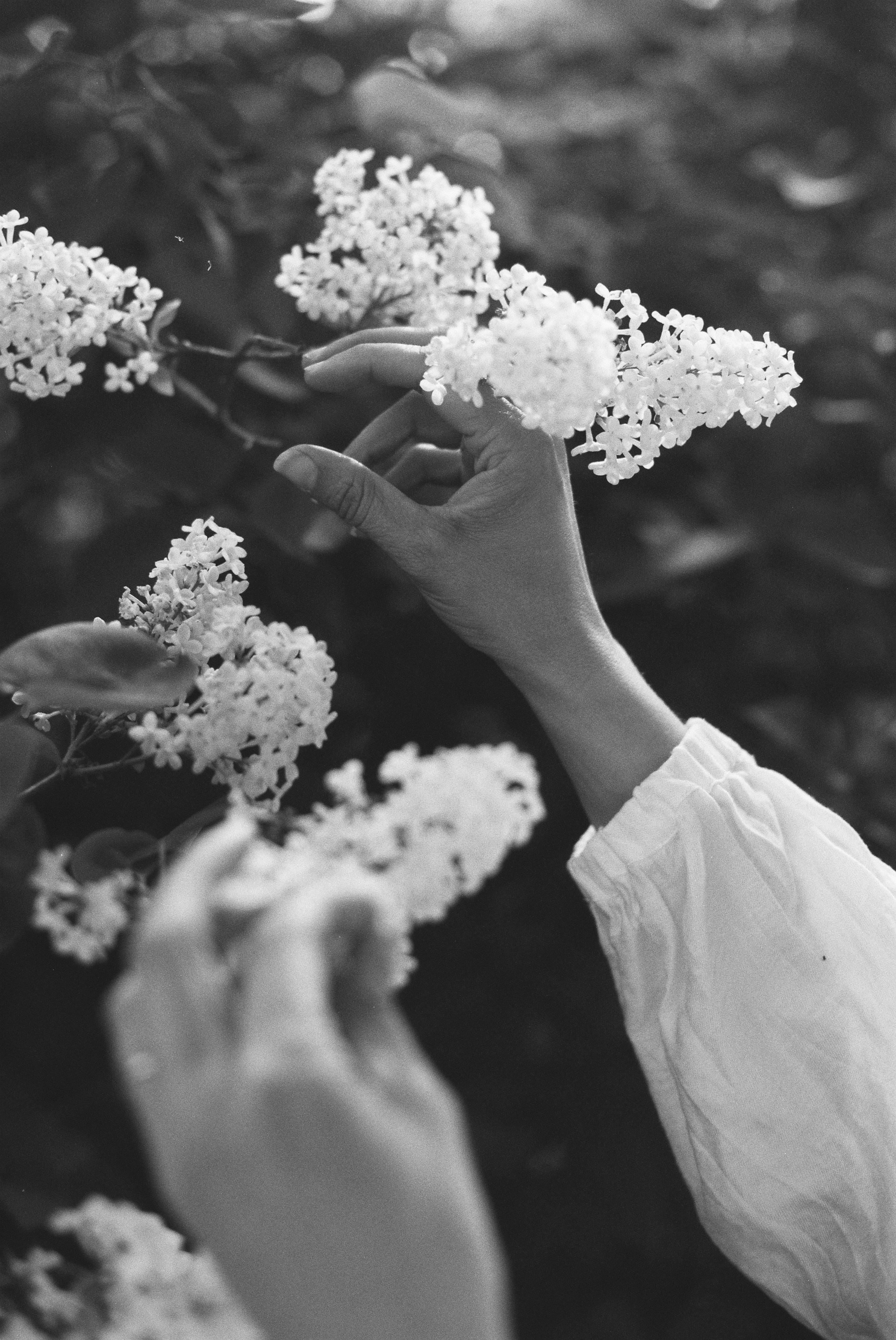 Fine art. Katya Zimina, film photographer based in Lisbon, Portugal