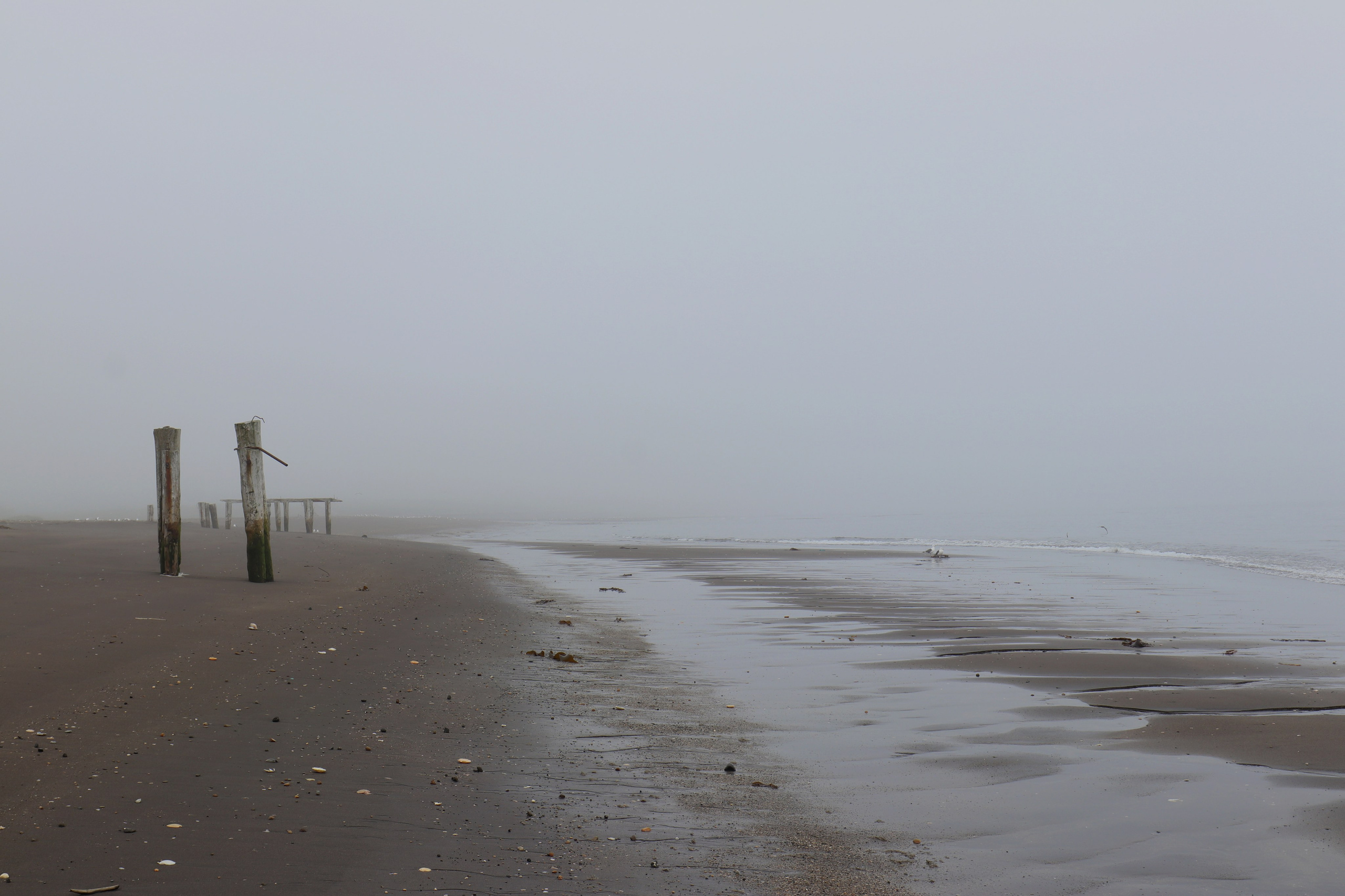 Камчатка и о. Парамушир. Июль 2024. Путешественник-фотограф из Санкт-Петербурга Татьяна Свистулина
