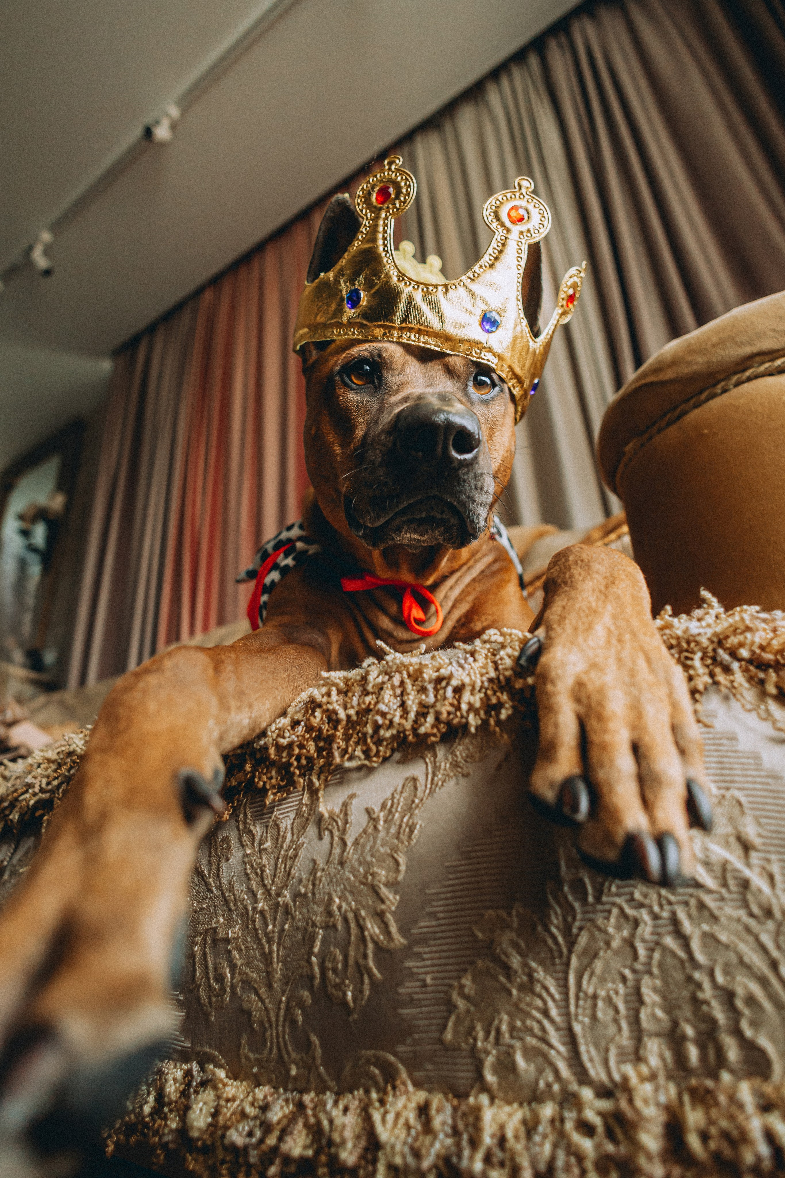 Оксана и Зевс