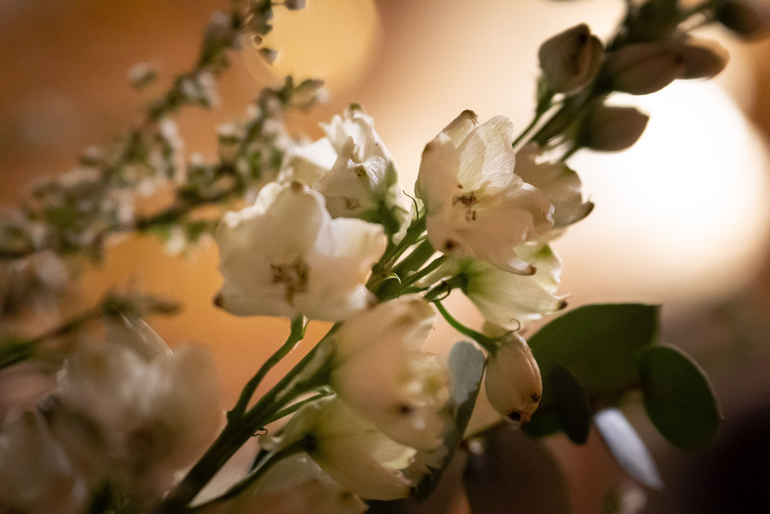 Храм Преображения Господня в Богородском. Цветы на Пасху. Антон и Татьяна Денисенко — В храме