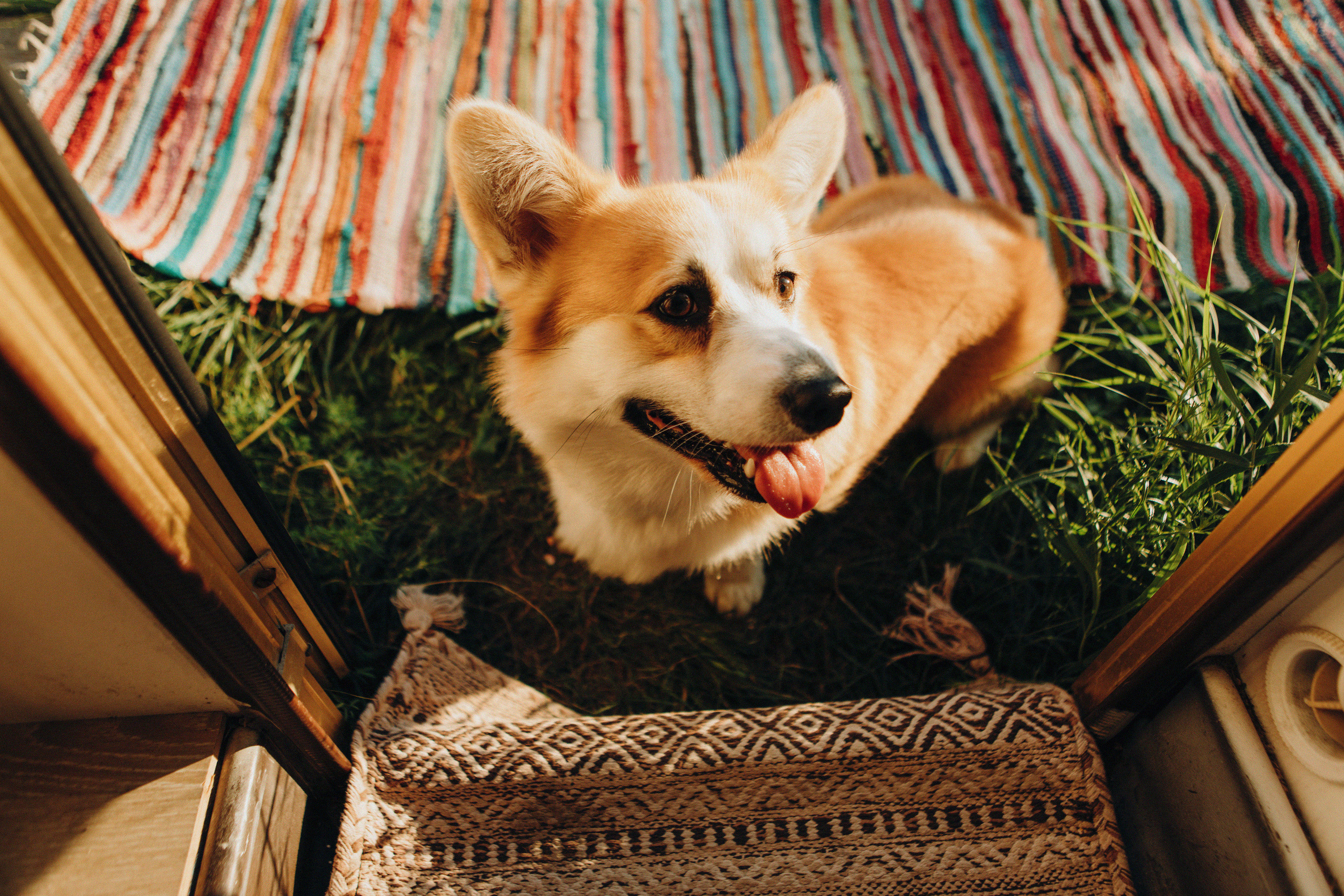 Когда родные рядом. Свадебный и семейный фотограф Арестенко Анастасия