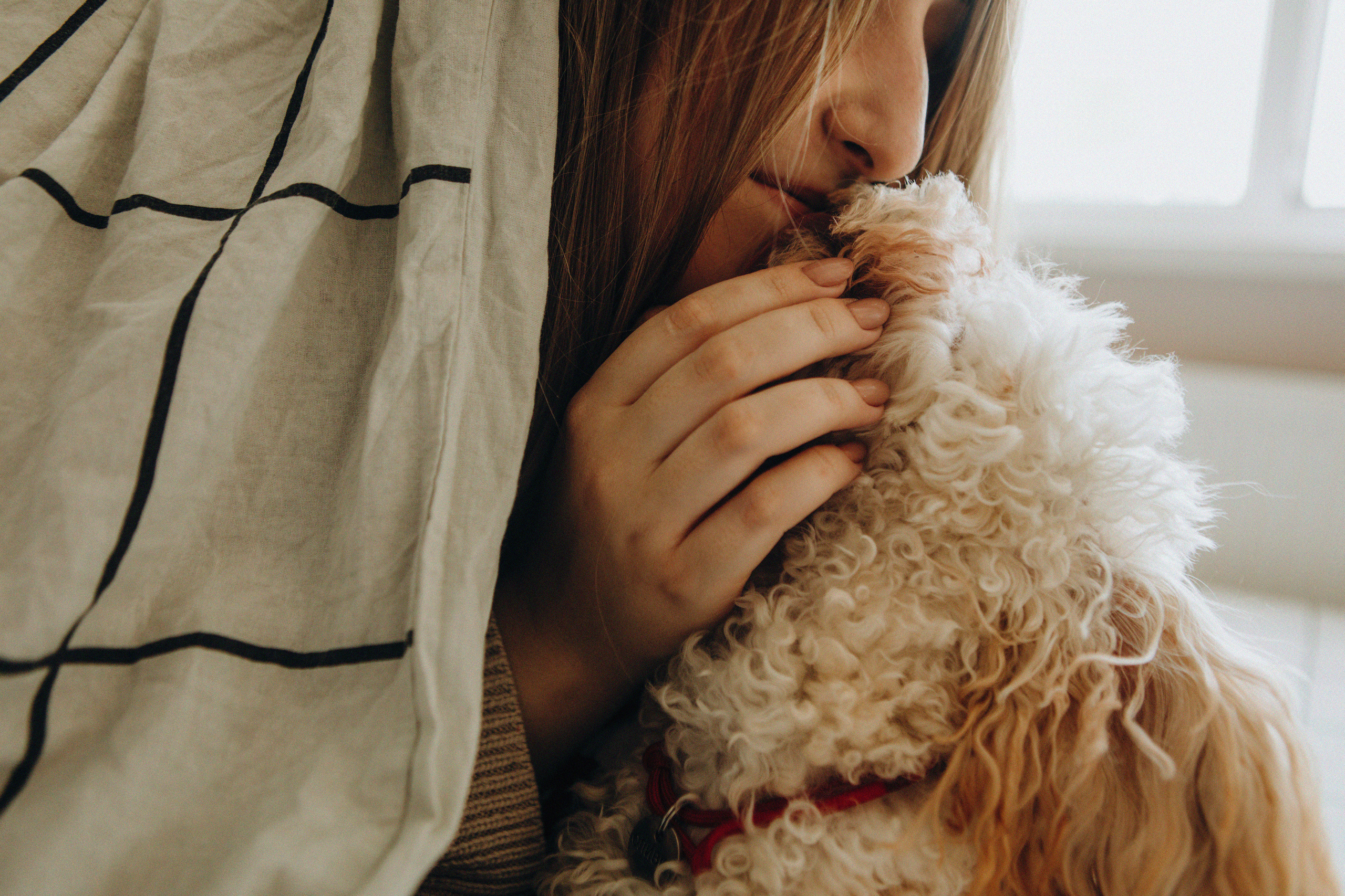 Таня и Оливка. Свадебный и семейный фотограф Арестенко Анастасия