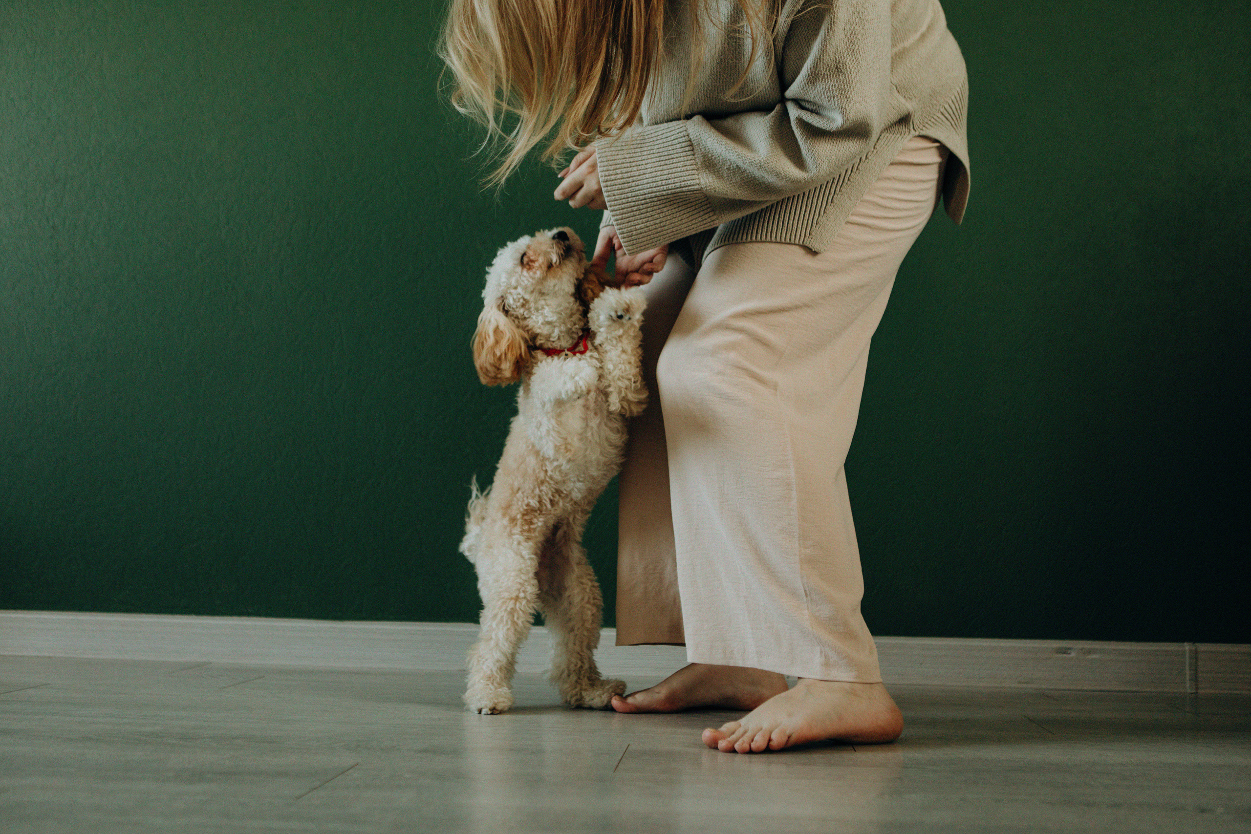 Таня и Оливка. Свадебный и семейный фотограф Арестенко Анастасия