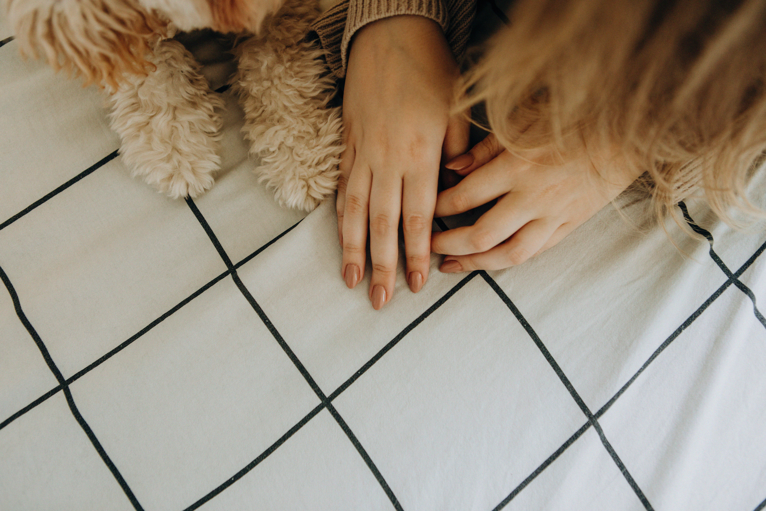 Таня и Оливка. Свадебный и семейный фотограф Арестенко Анастасия