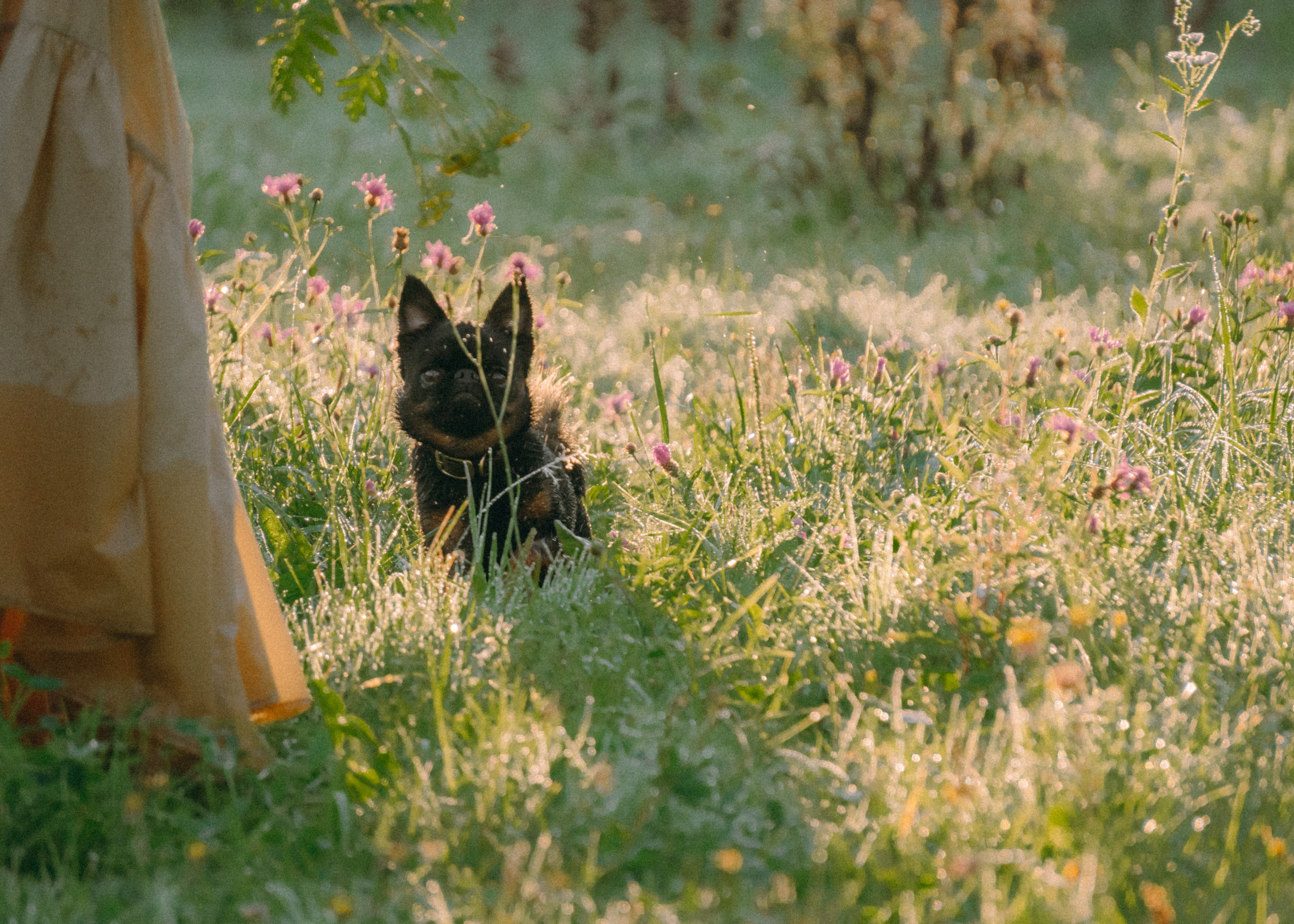 Оксана, Кирилл и Кеша. Фотограф-анималист Ксения Воробьева, Москва
