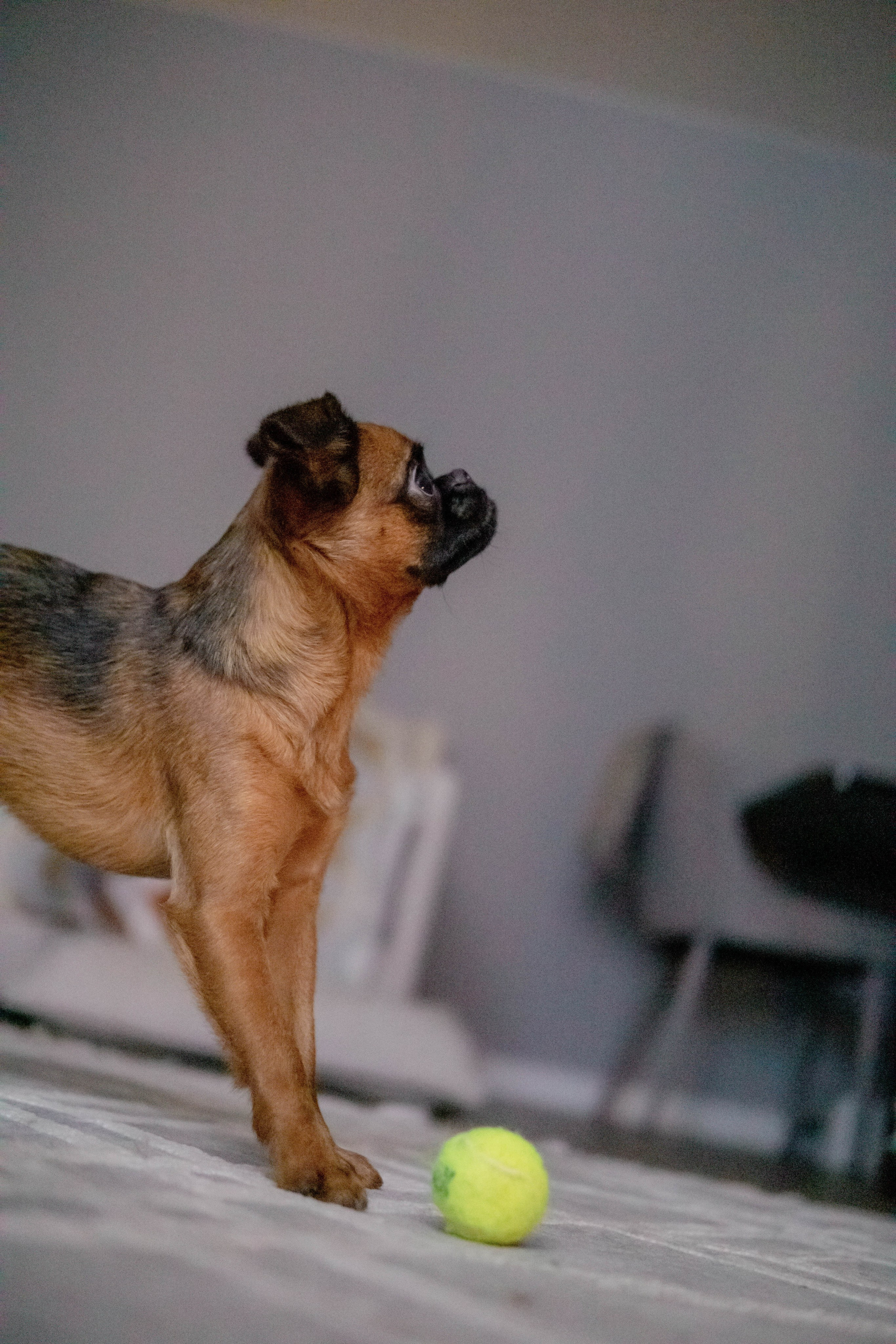 Надя и Ефим. Фотограф-анималист Ксения Воробьева, Москва