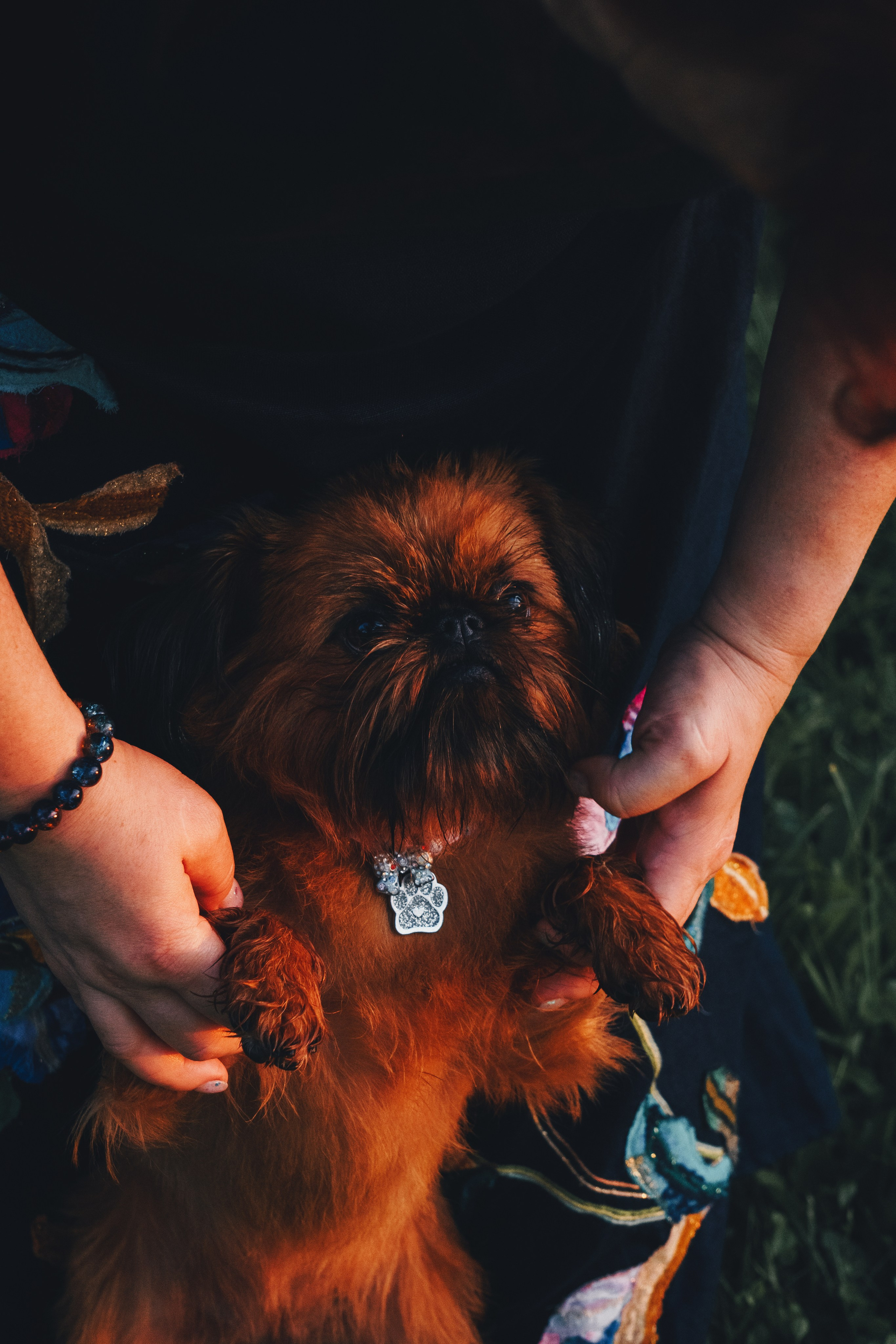 Катя и Яшма. Фотограф-анималист Ксения Воробьева, Москва