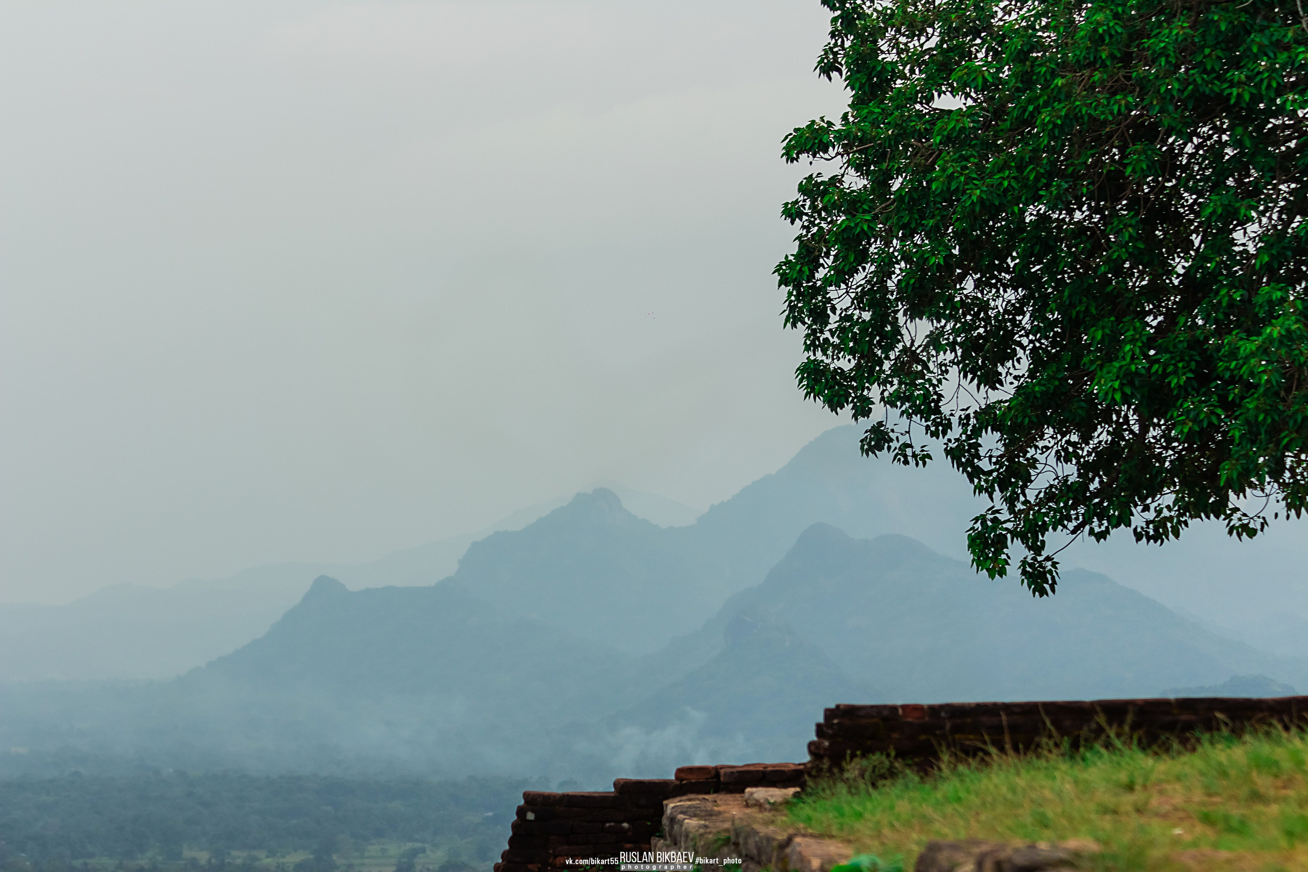 ШРИ-ЛАНКА 2025 / SRI LANKA 2025. Главная