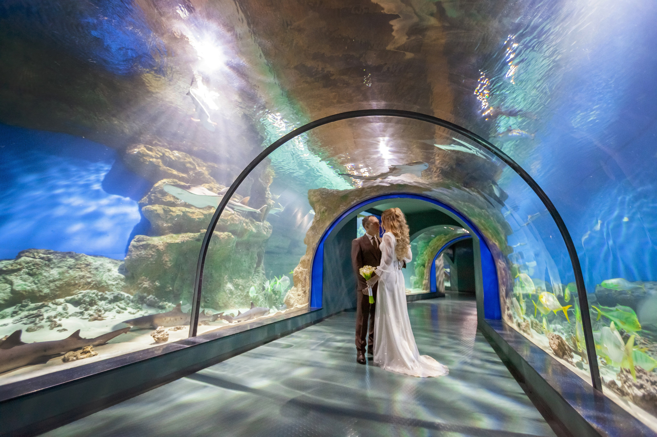 1-12-2023. Главная