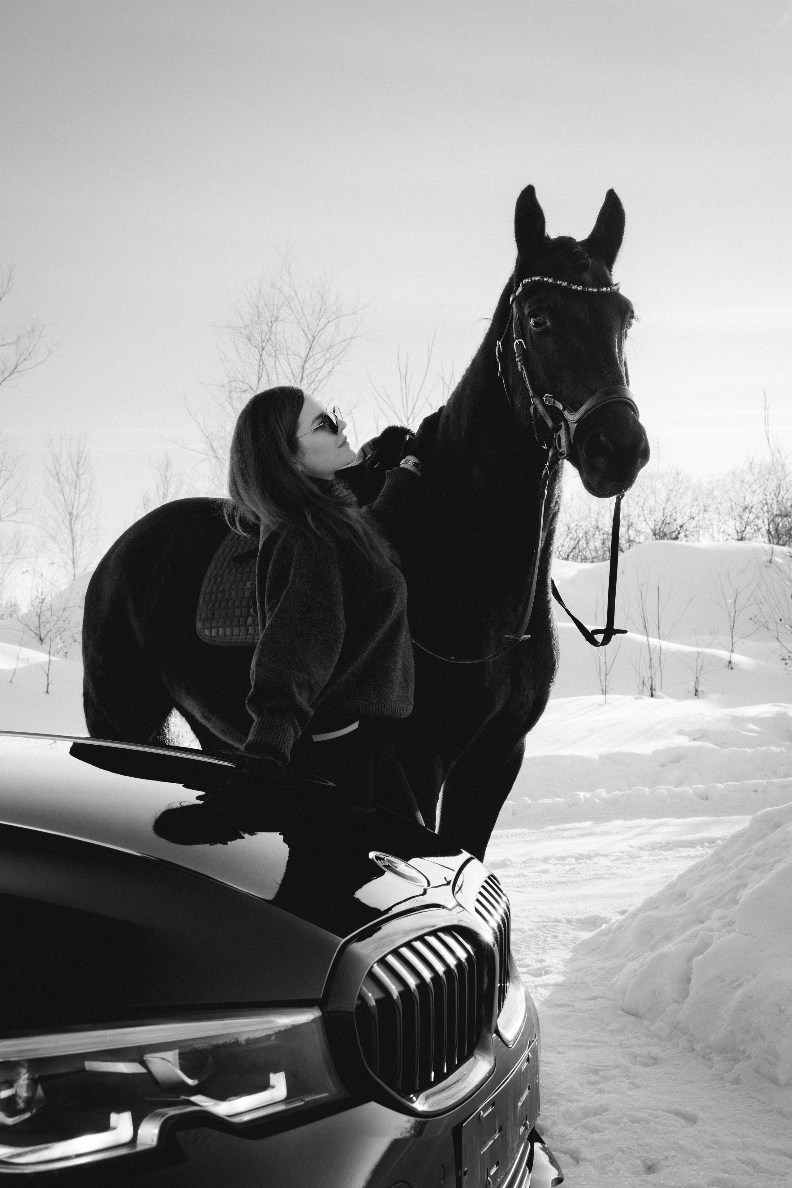 BMW G20 with horse. Автомобильный фотограф и видеограф в Новосибирске|Александра Косухина