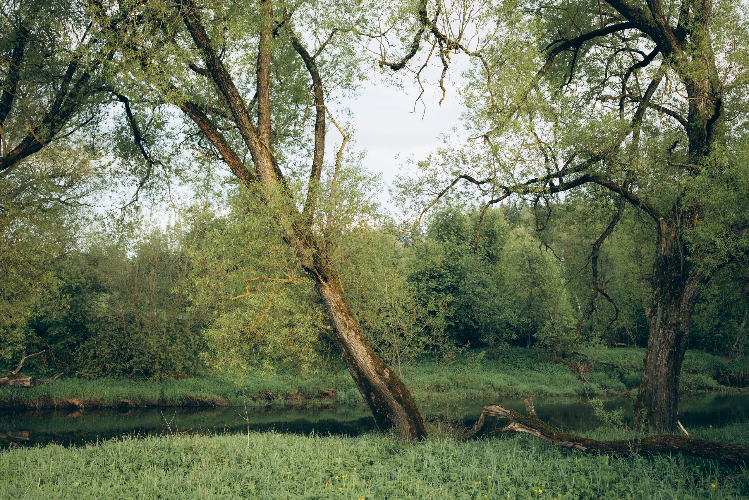 Istra. Женский фотограф Истра