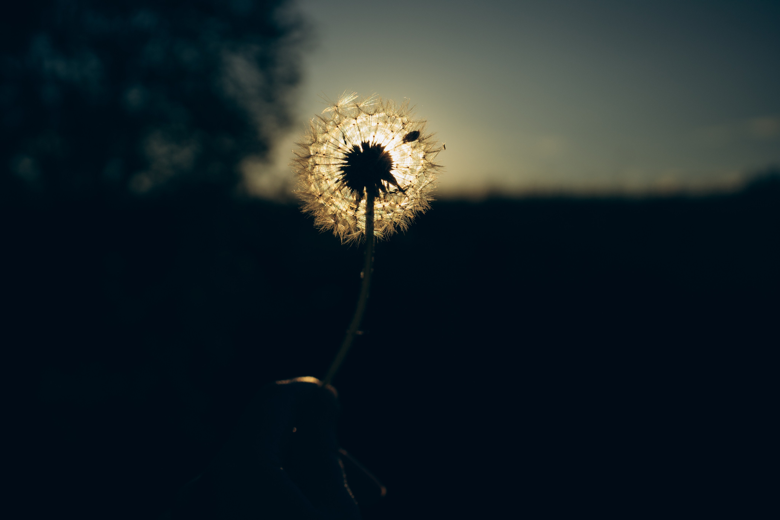 Istra. Женский фотограф Истра