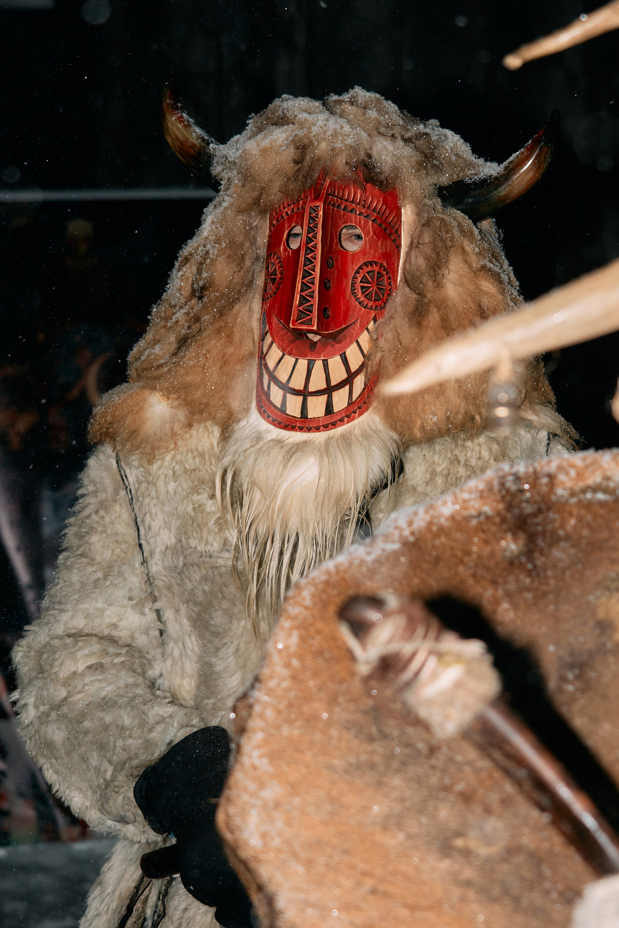 С медведем по соседям. Фотограф