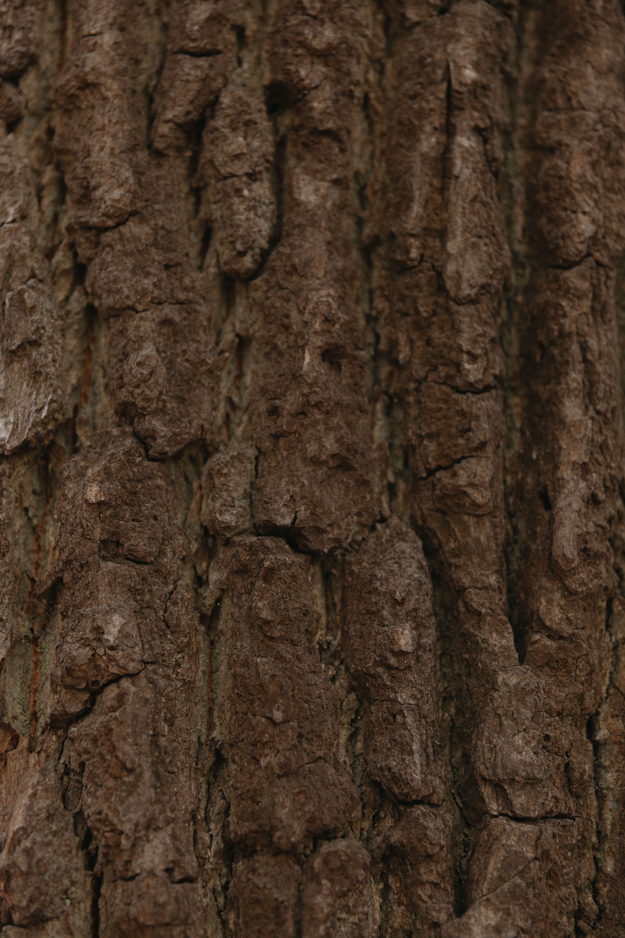 Ю & В. Женский и свадебный фотограф Москва Елизавета Перова