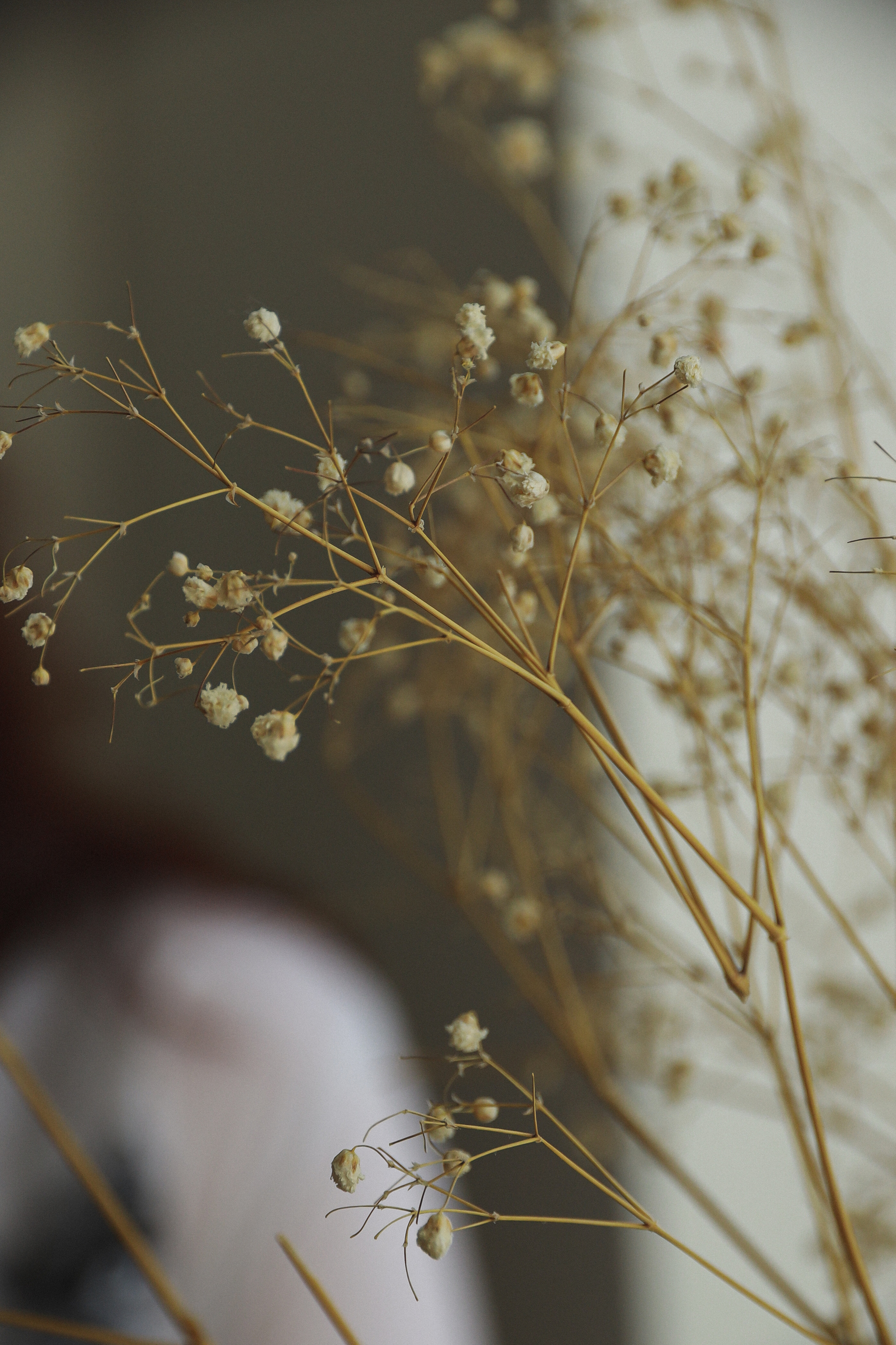 Отзывы о работе фотографа, Забелина отзывы. Фотограф историй в Челябинске и Екб