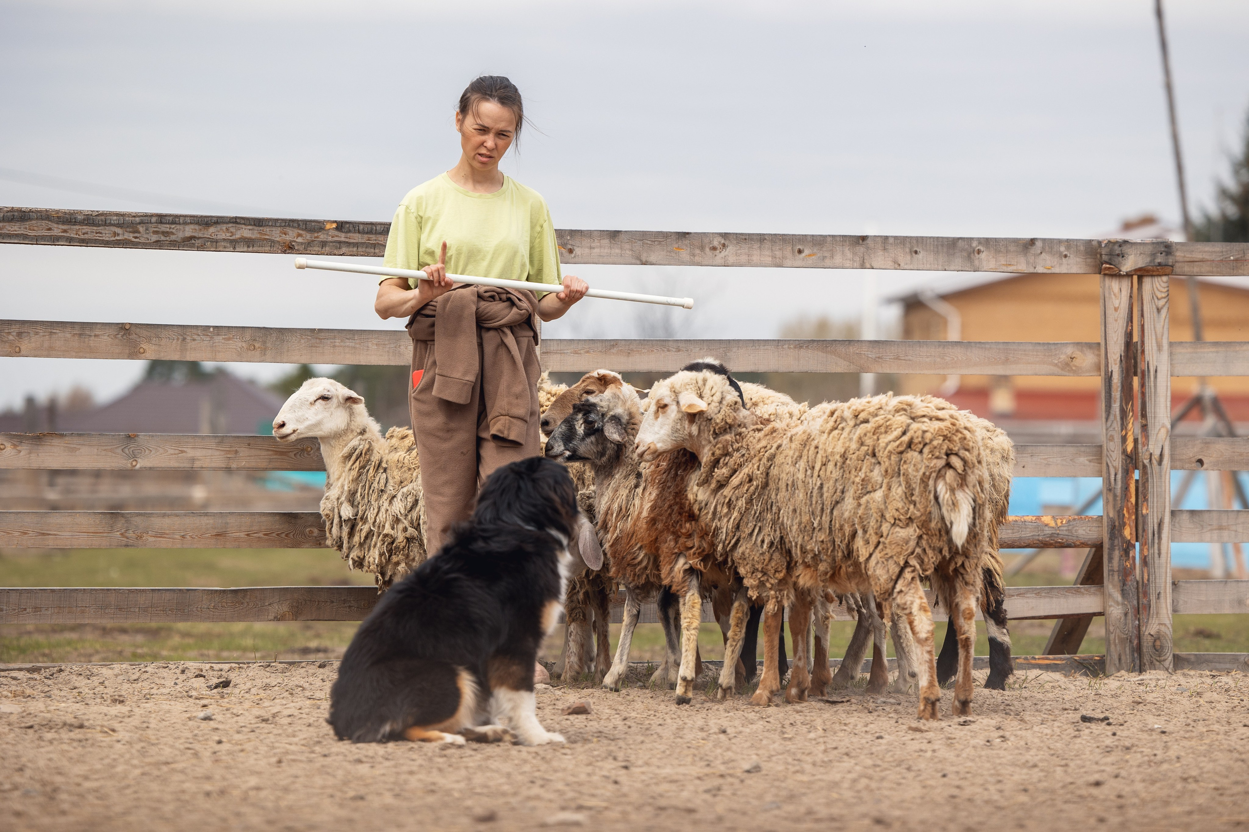 Ночь. YULA KOLESOVA | Фотограф — Анималист | Художник | Тюмень