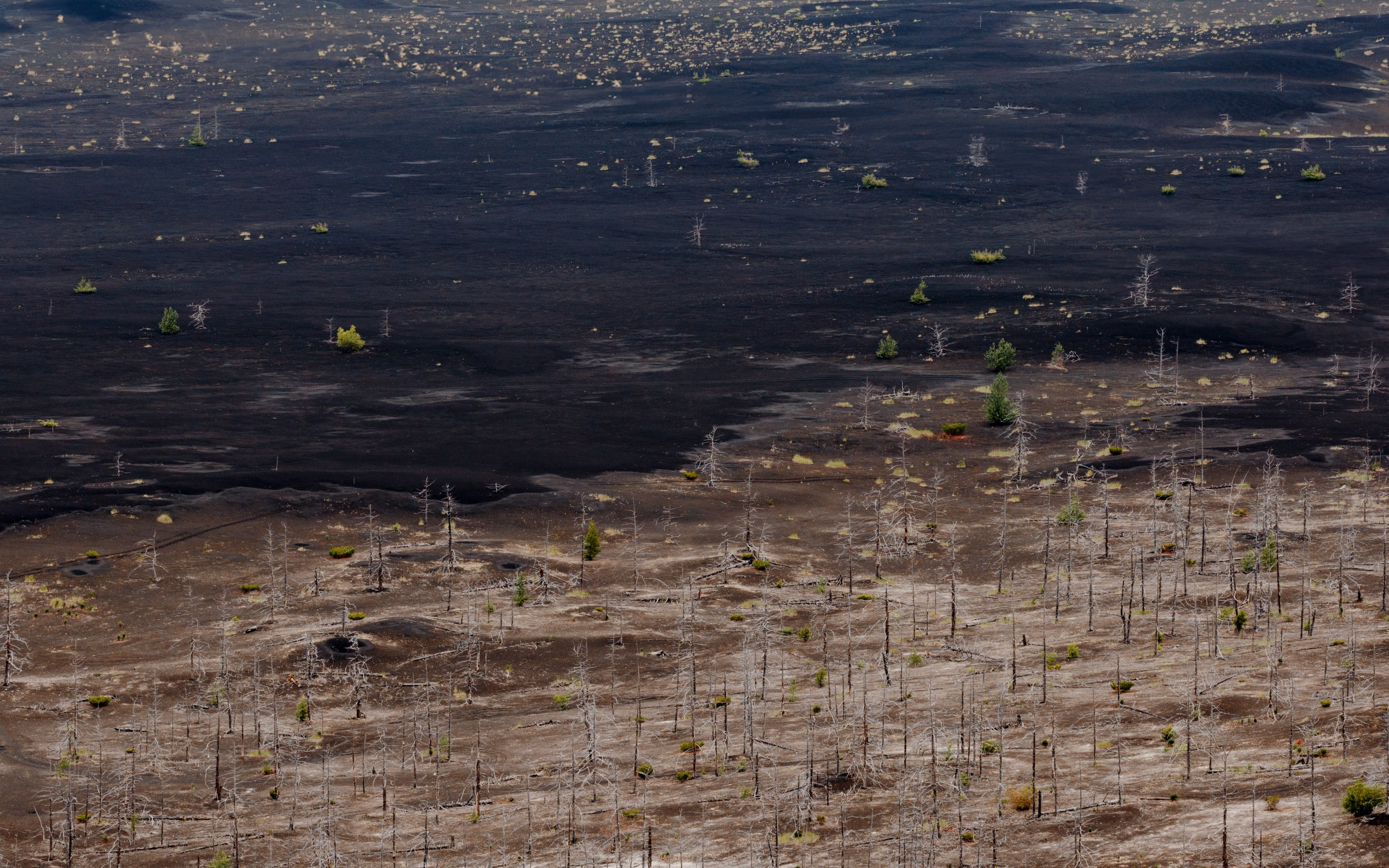 Путешествие на Камчатку. Alexey Shabanov photography