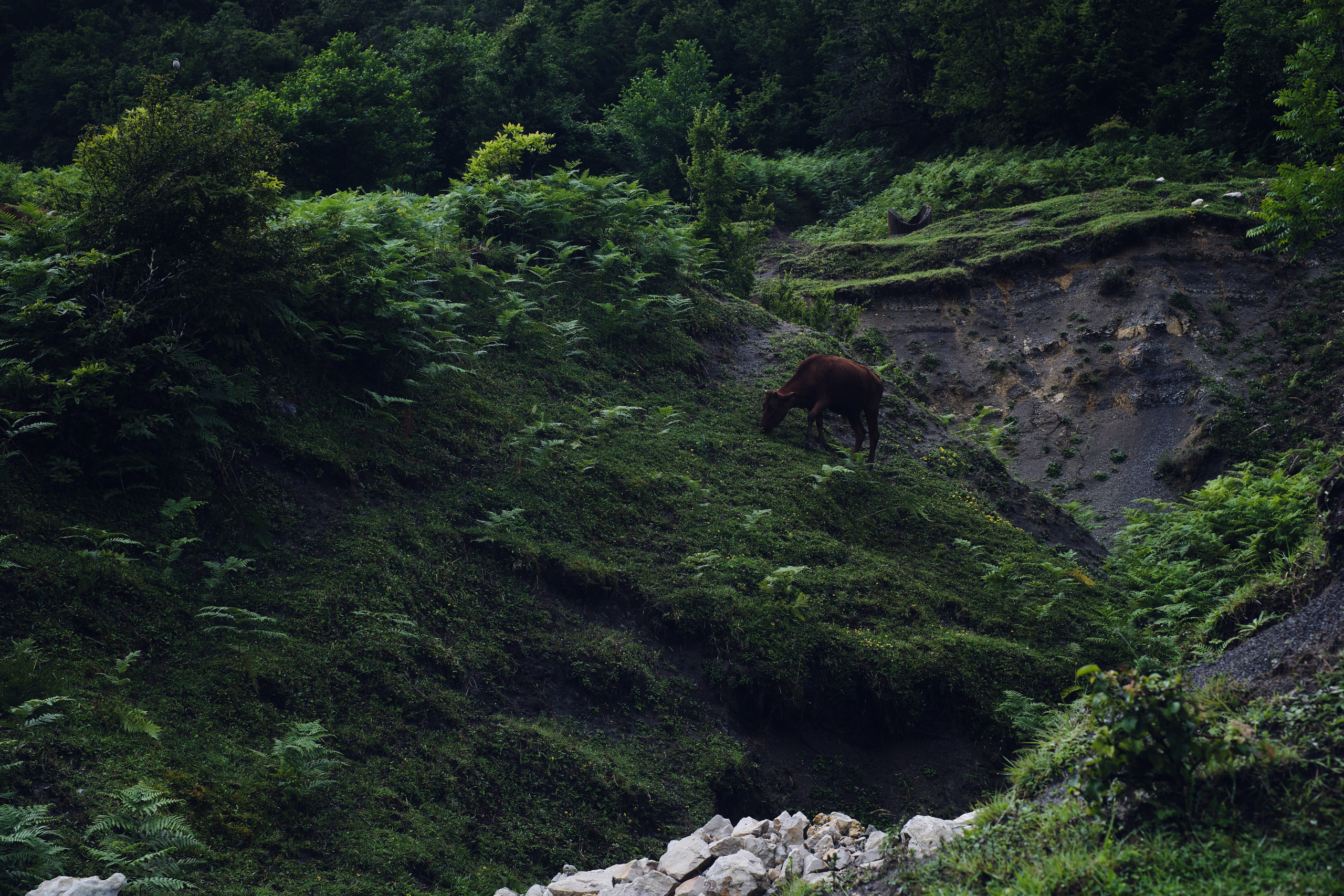 Okatse Canyon. Ден Батуев, не только фотограф