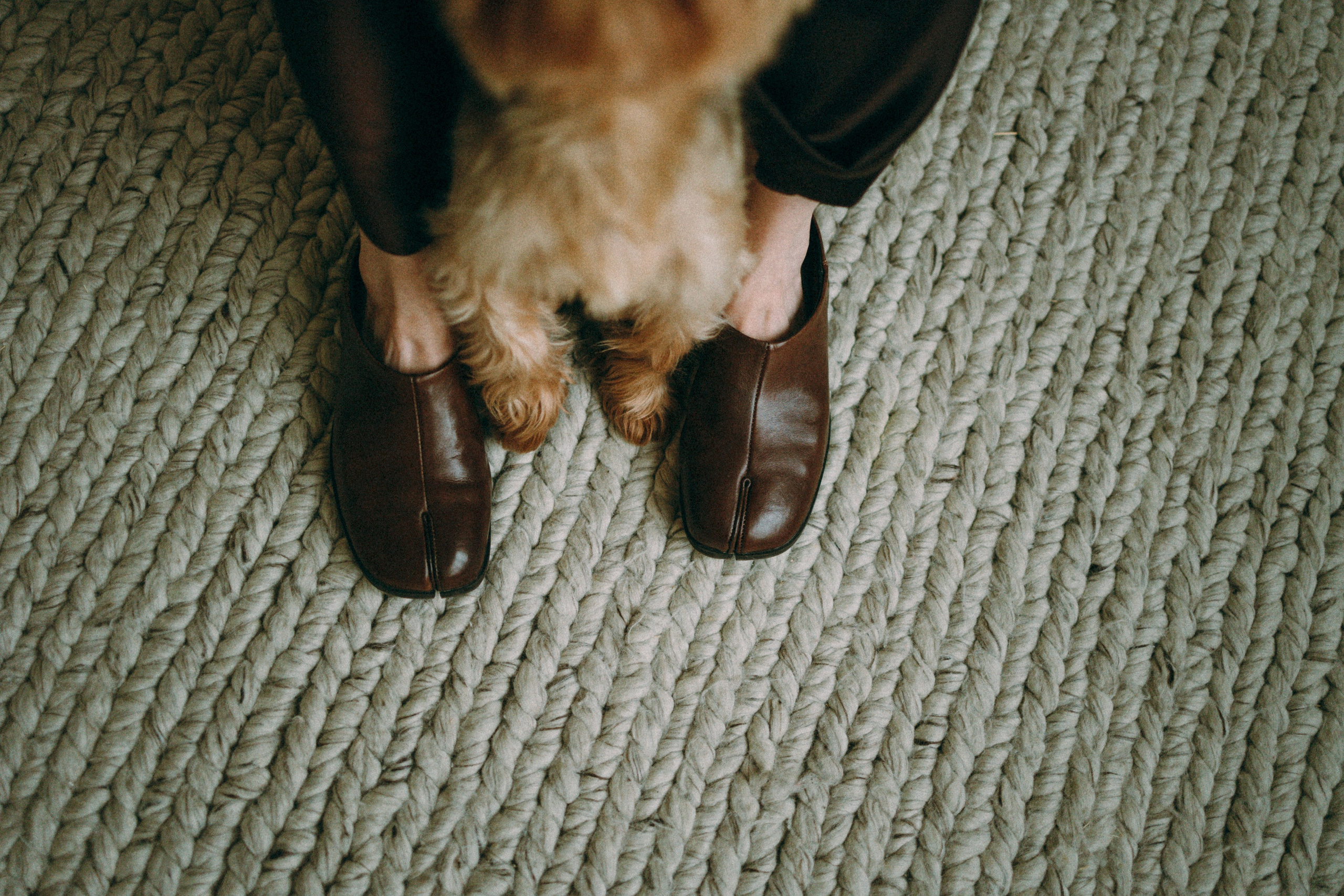 Ричард и Ксюша. Фотограф анималист Анастасия Пикей