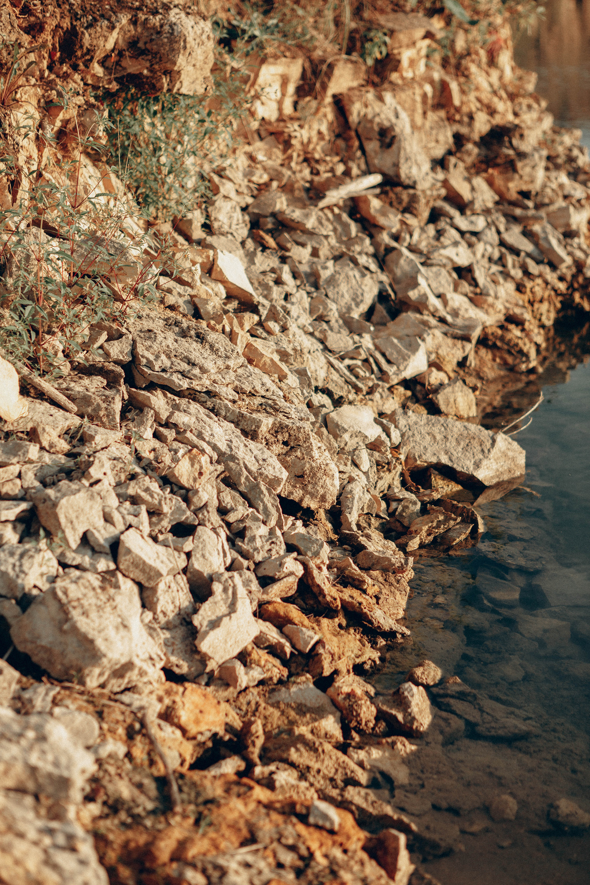 Summer. Фотограф Александра Кузнецова