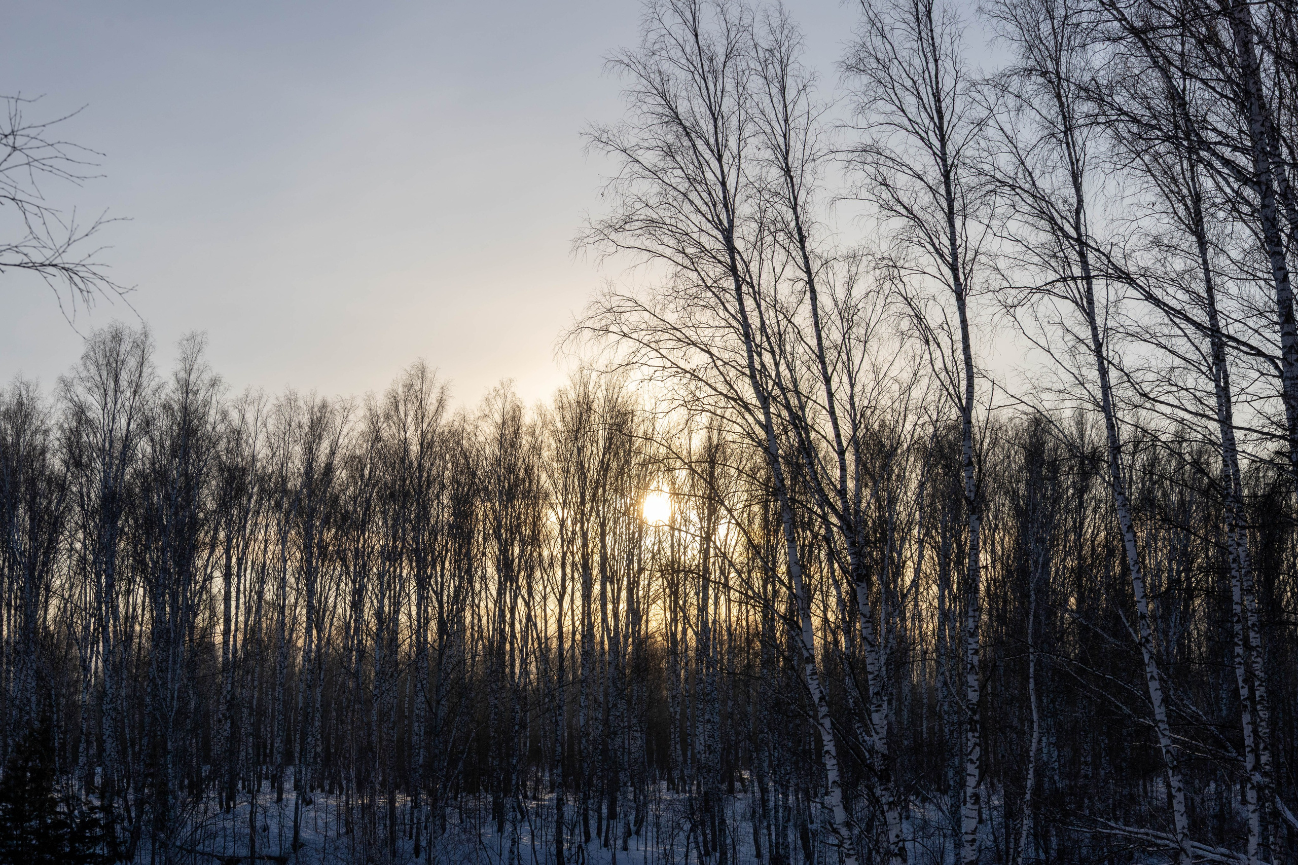 Открытая тренировка по Мотокросс. Фотограф Артем Ларионов