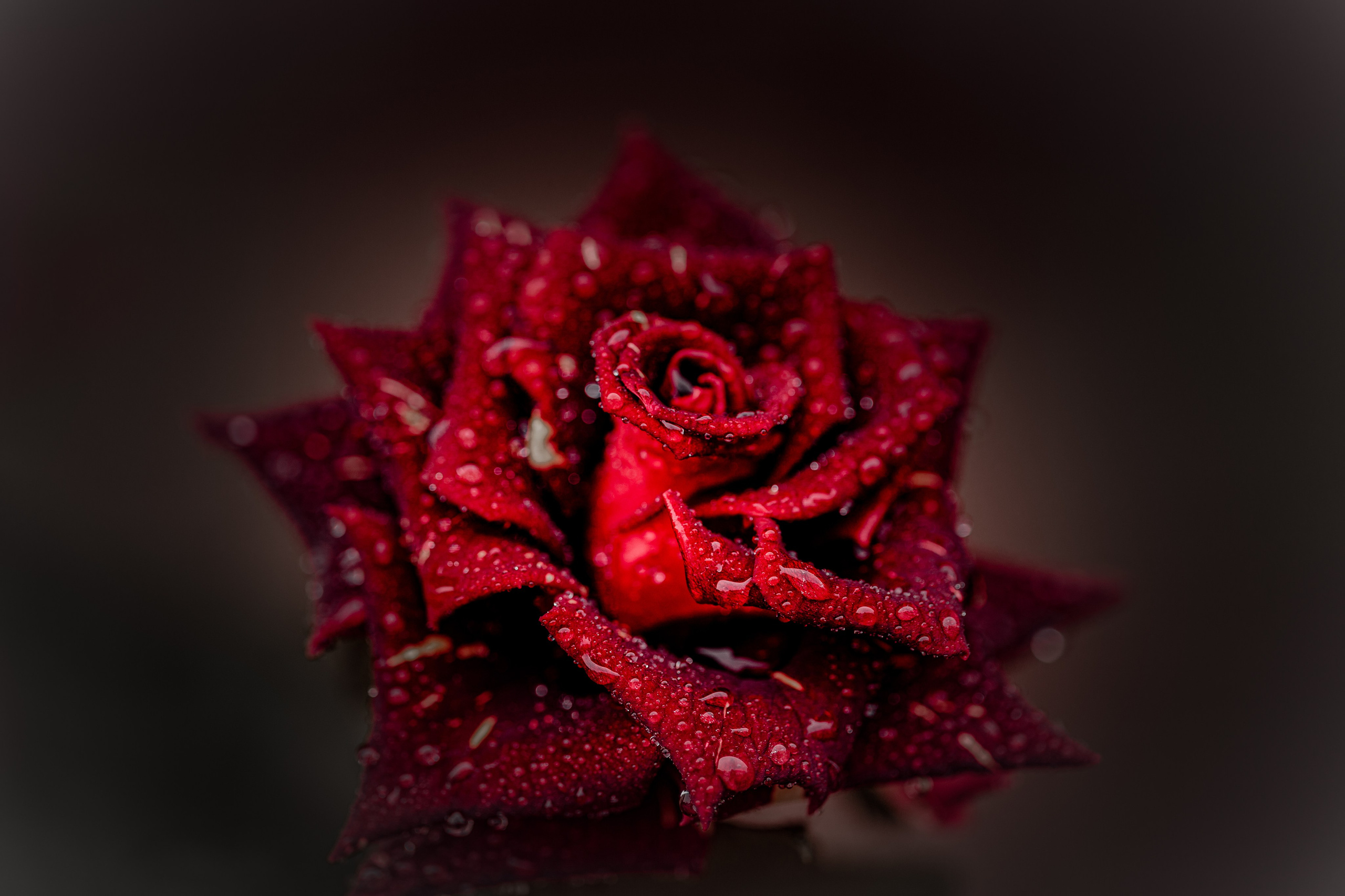 Медиапродюсер, фотограф в Минеральных Водах —Виктор Холодов